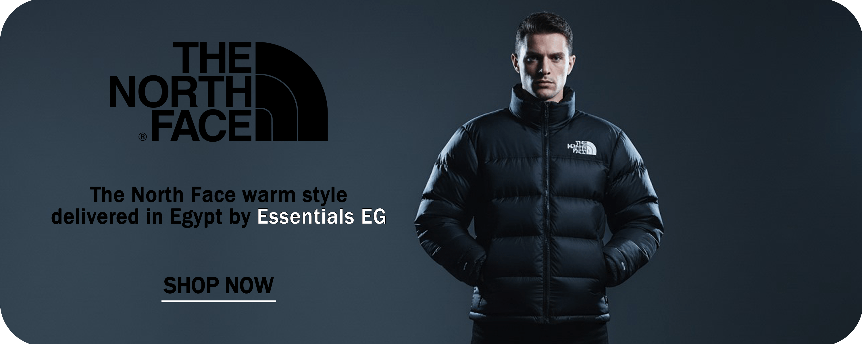 The North Face Vest - ESSENTIALS EGYPT