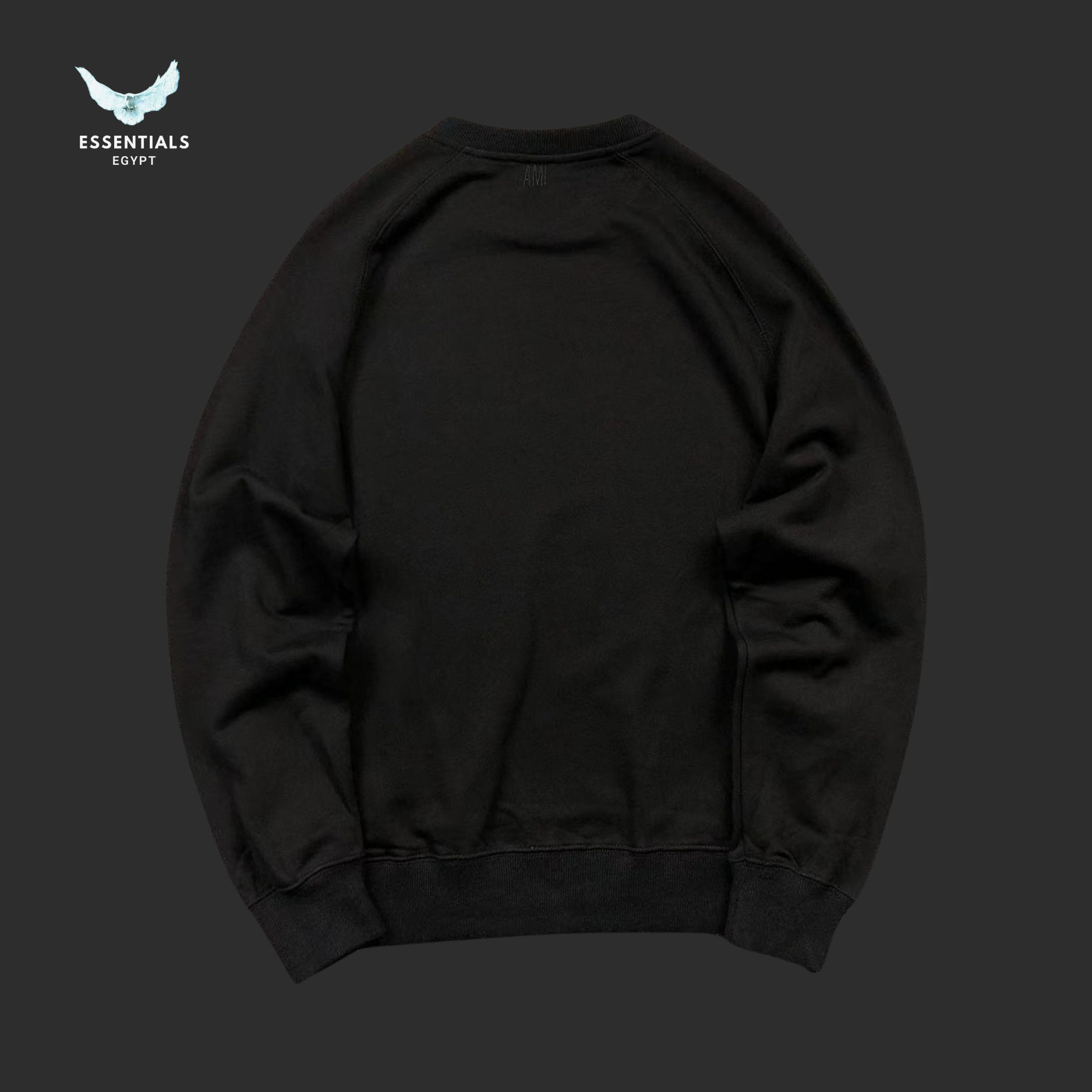 AMI Paris Sweatshirt – Everyday Fit Logo Crew - ESSENTIALS EGYPT