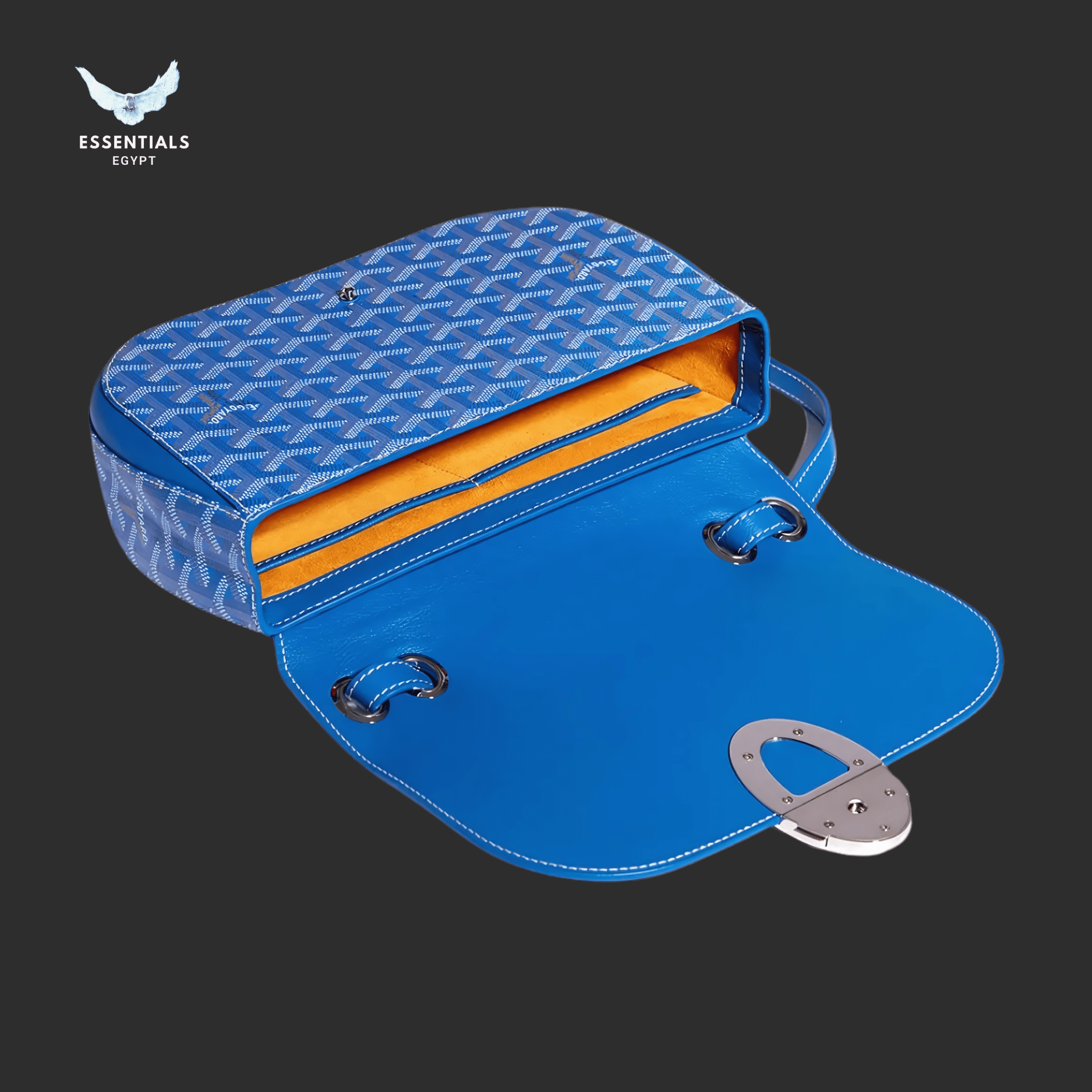 Goyard Saint Louis PM Tote – Sky Blue - ESSENTIALS EGYPT