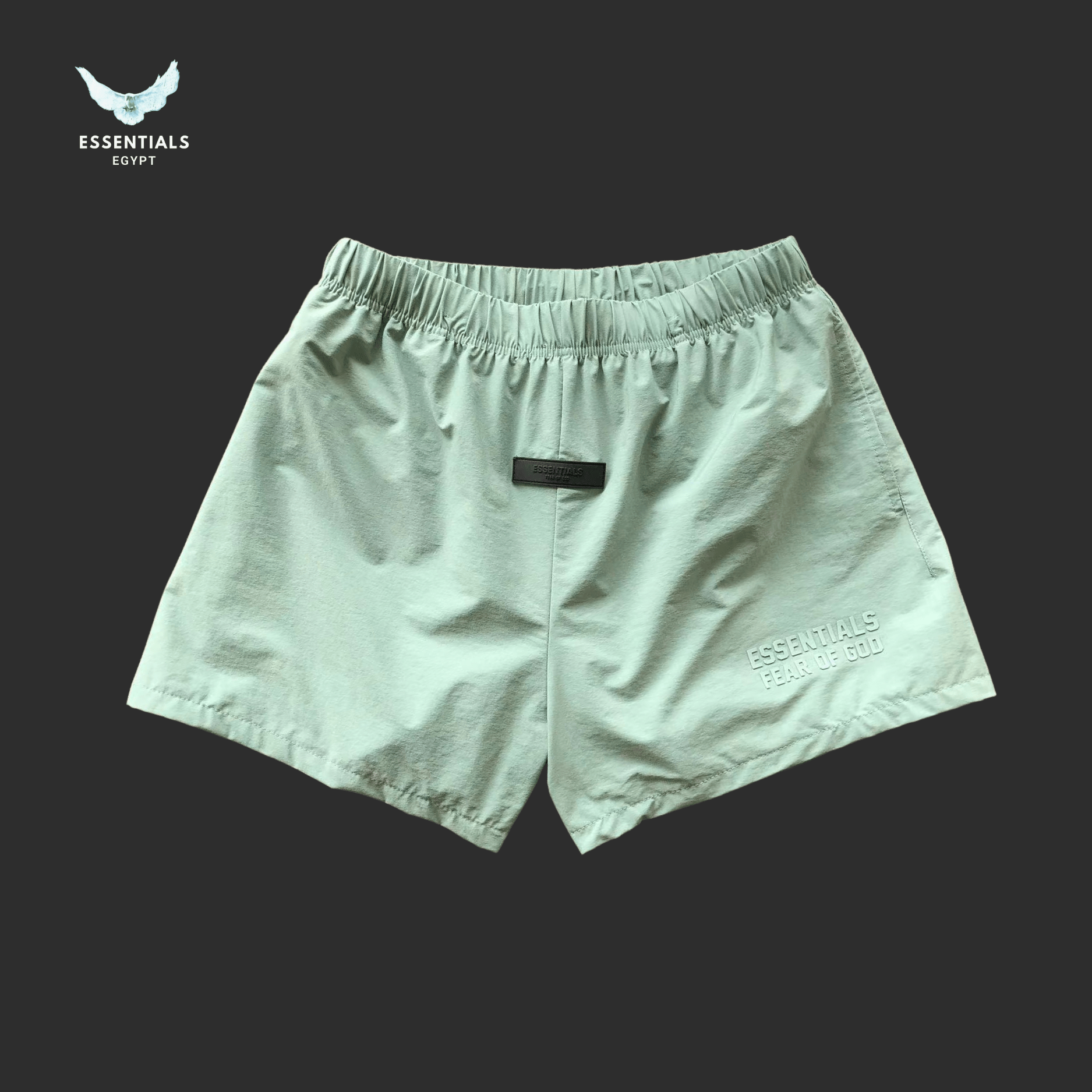 Essentials Nylon Shorts – Terrain Color - ESSENTIALS EGYPT