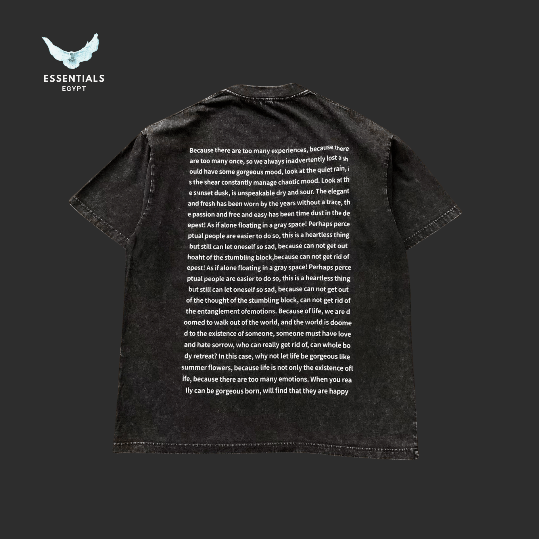Essentials T-Shirt – Back Print Statement - ESSENTIALS EGYPT