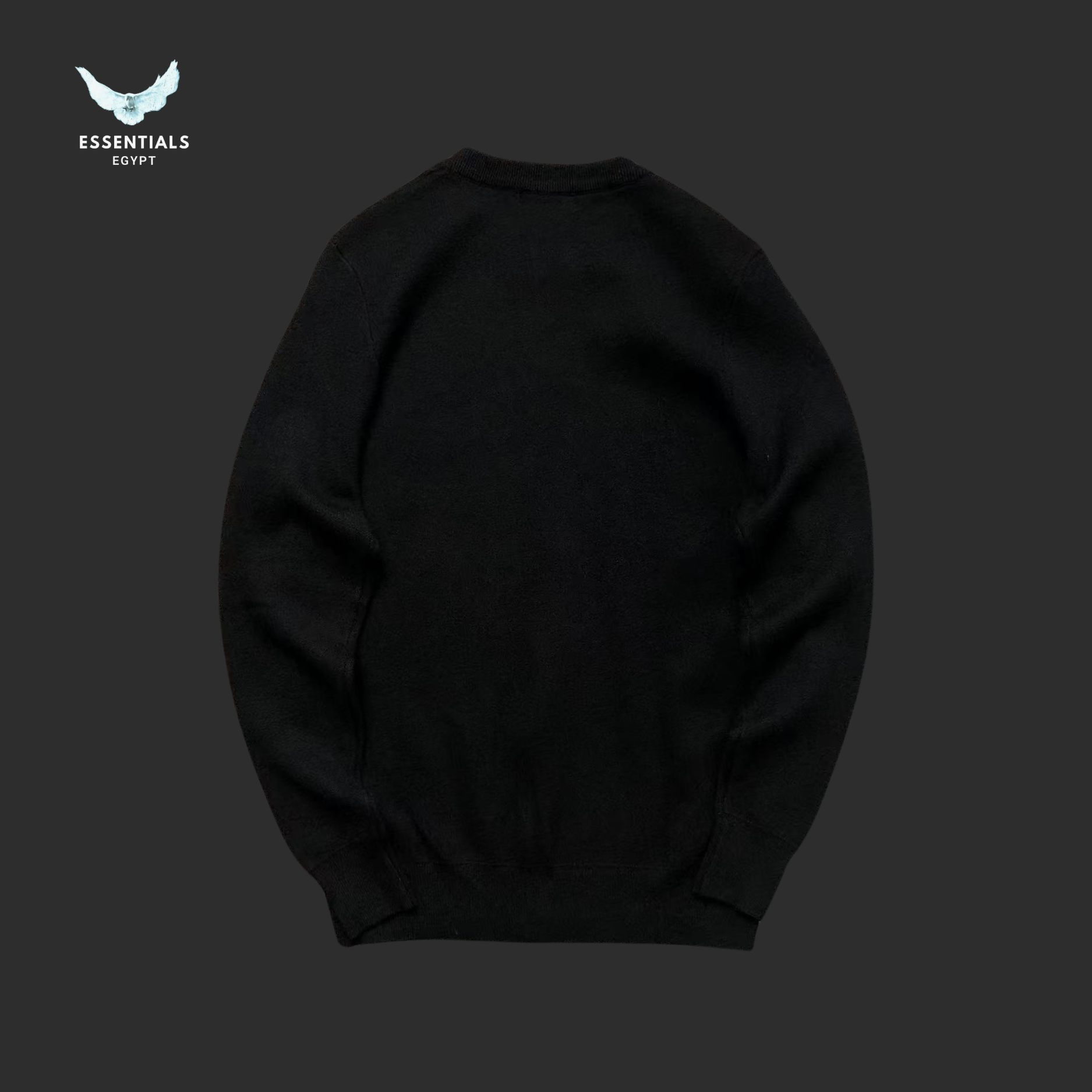 Alexander McQueen Sweater – Logo Crewneck - ESSENTIALS EGYPT