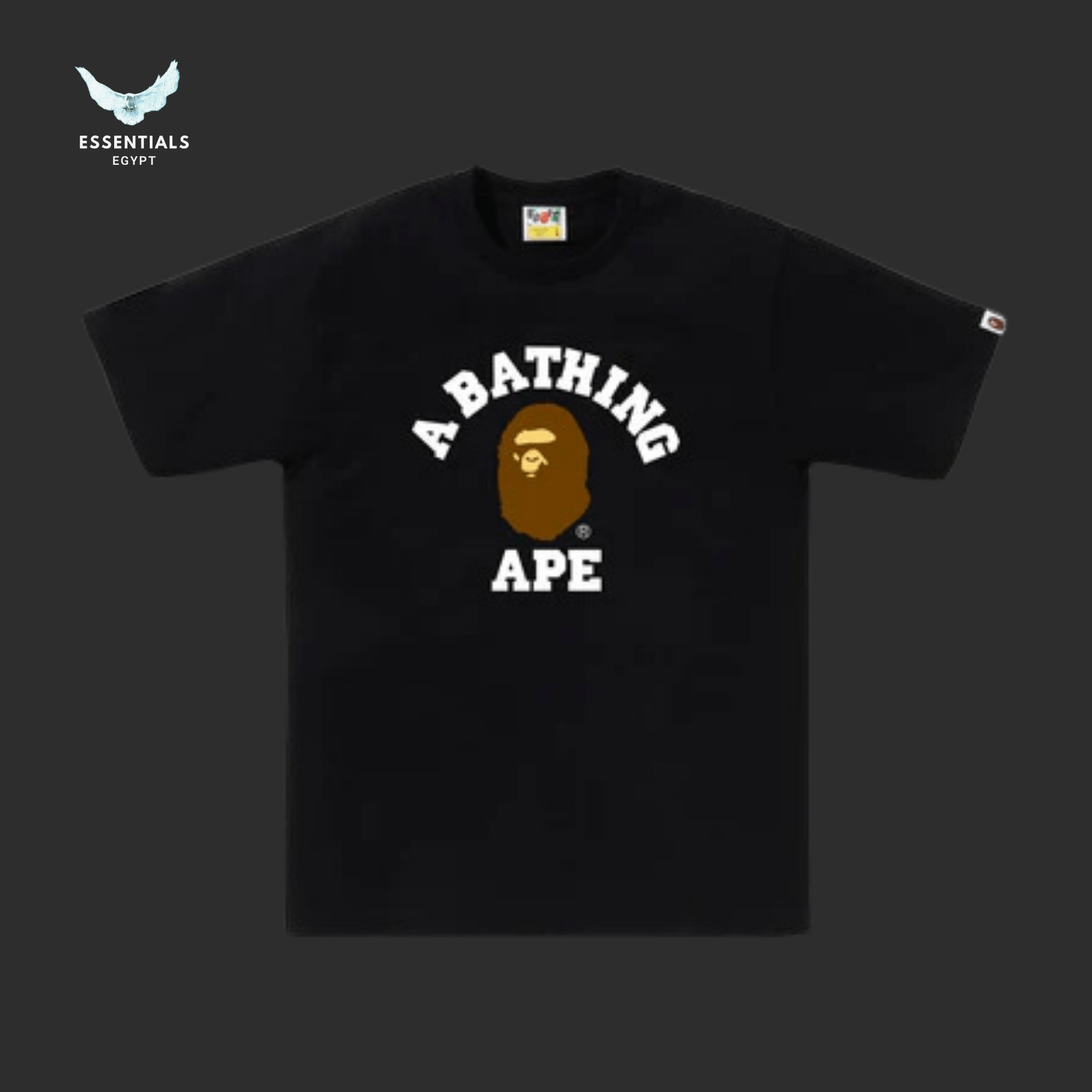 BAPE College T-Shirt – Neutral - ESSENTIALS EGYPT