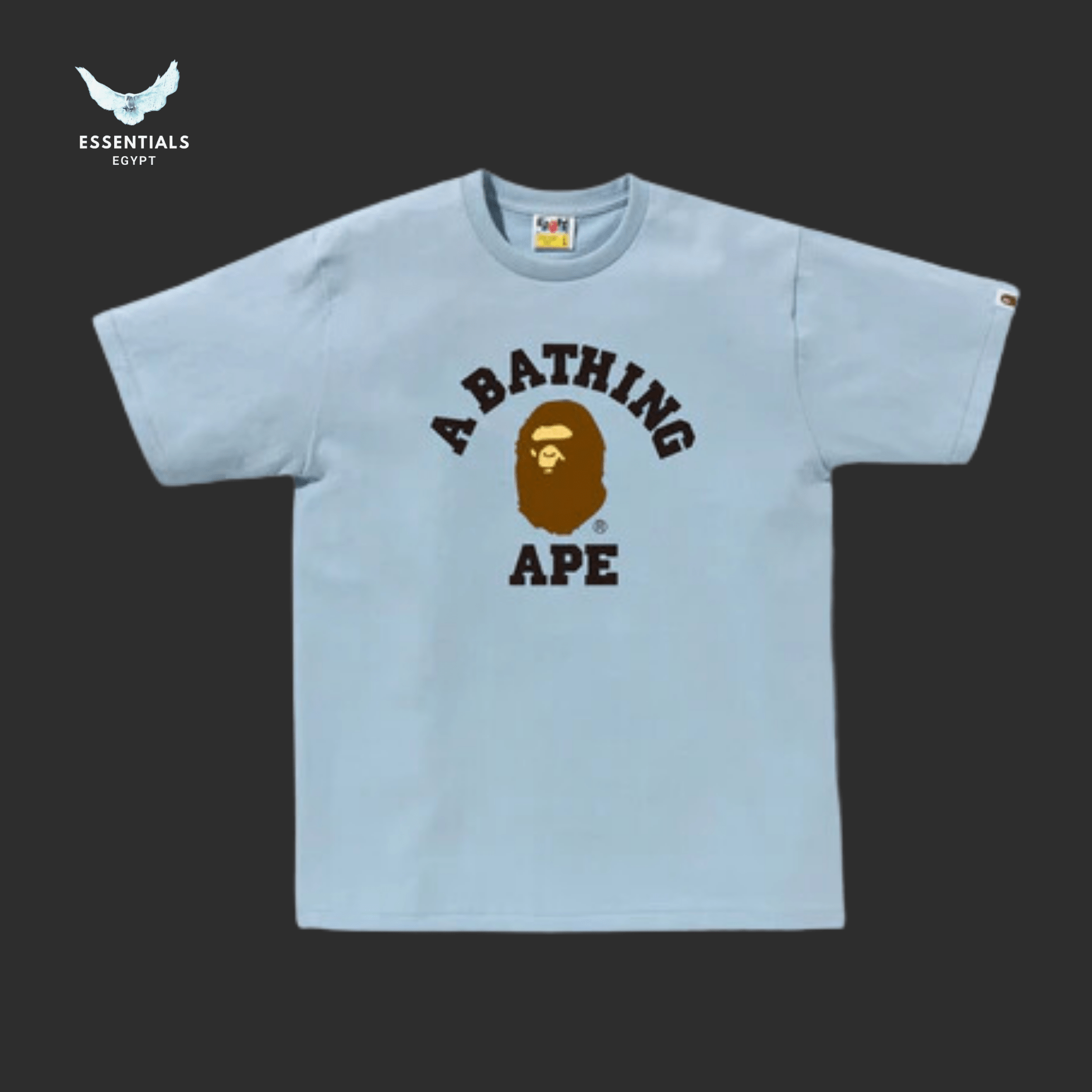 BAPE College T-Shirt – Neutral - ESSENTIALS EGYPT