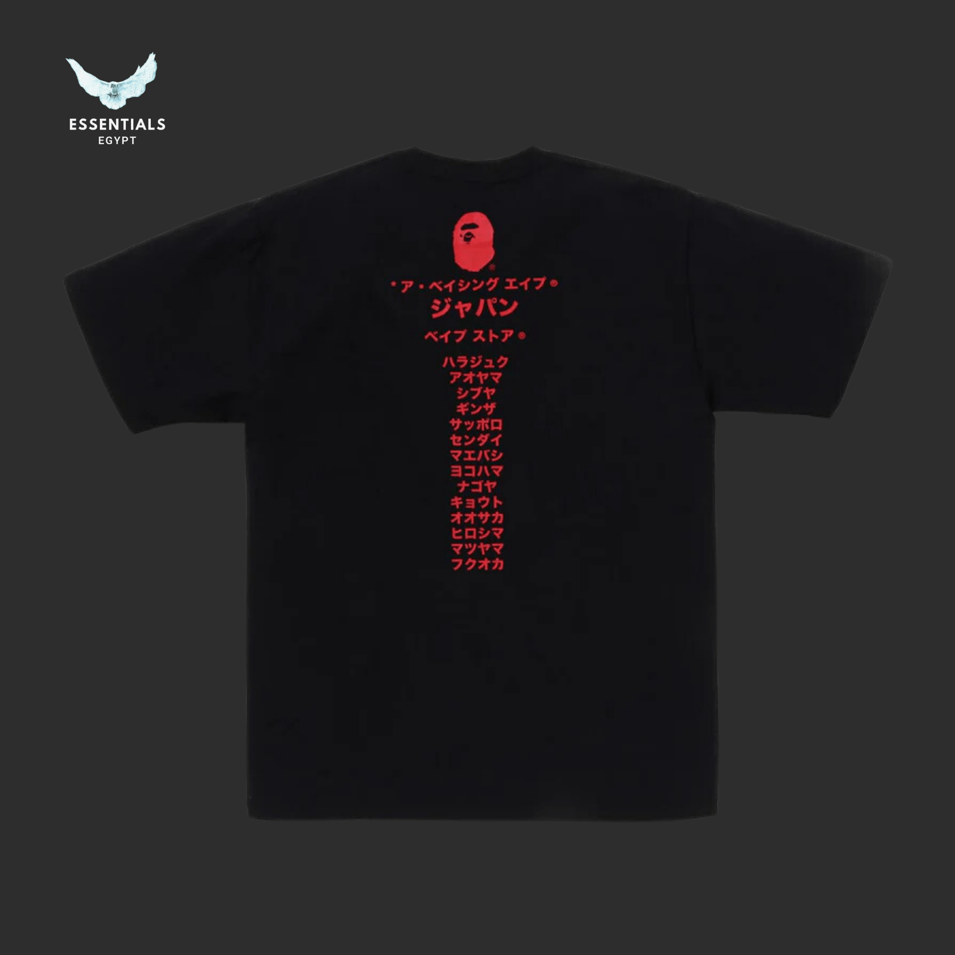 BAPE Japan Katakana College City Tee - ESSENTIALS EGYPT