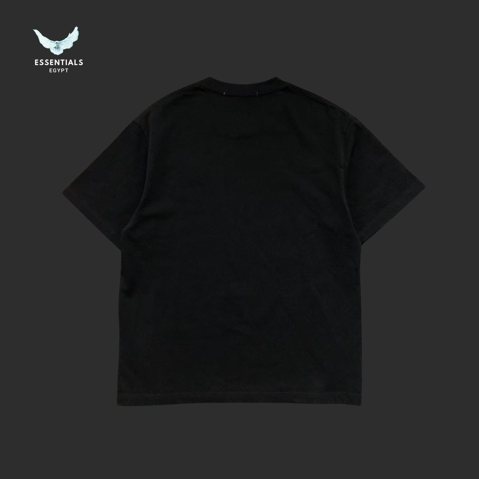 CDG T-SHIRT 41162317 - ESSENTIALS EGYPT