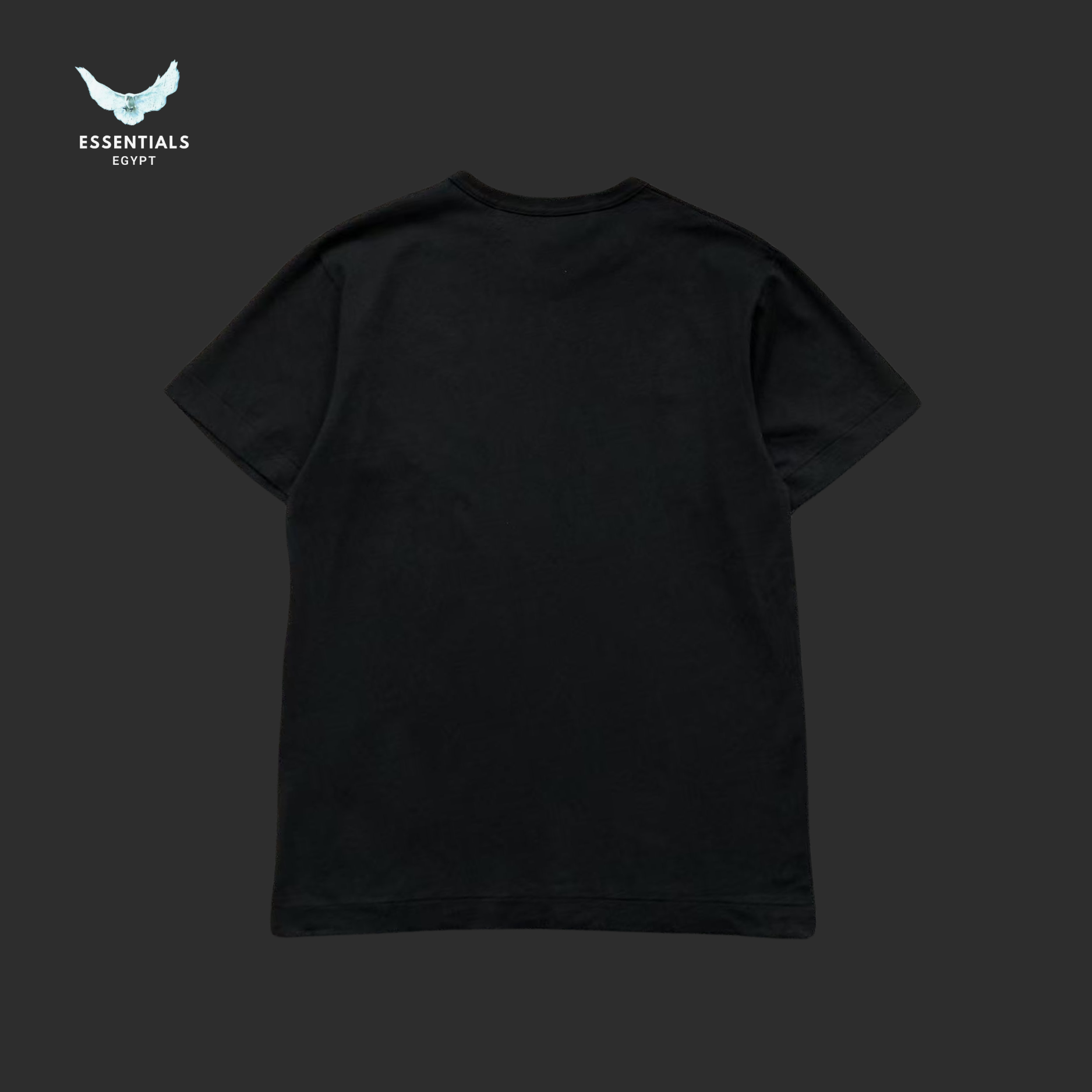 CDG T-SHIRT 413260321 - ESSENTIALS EGYPT