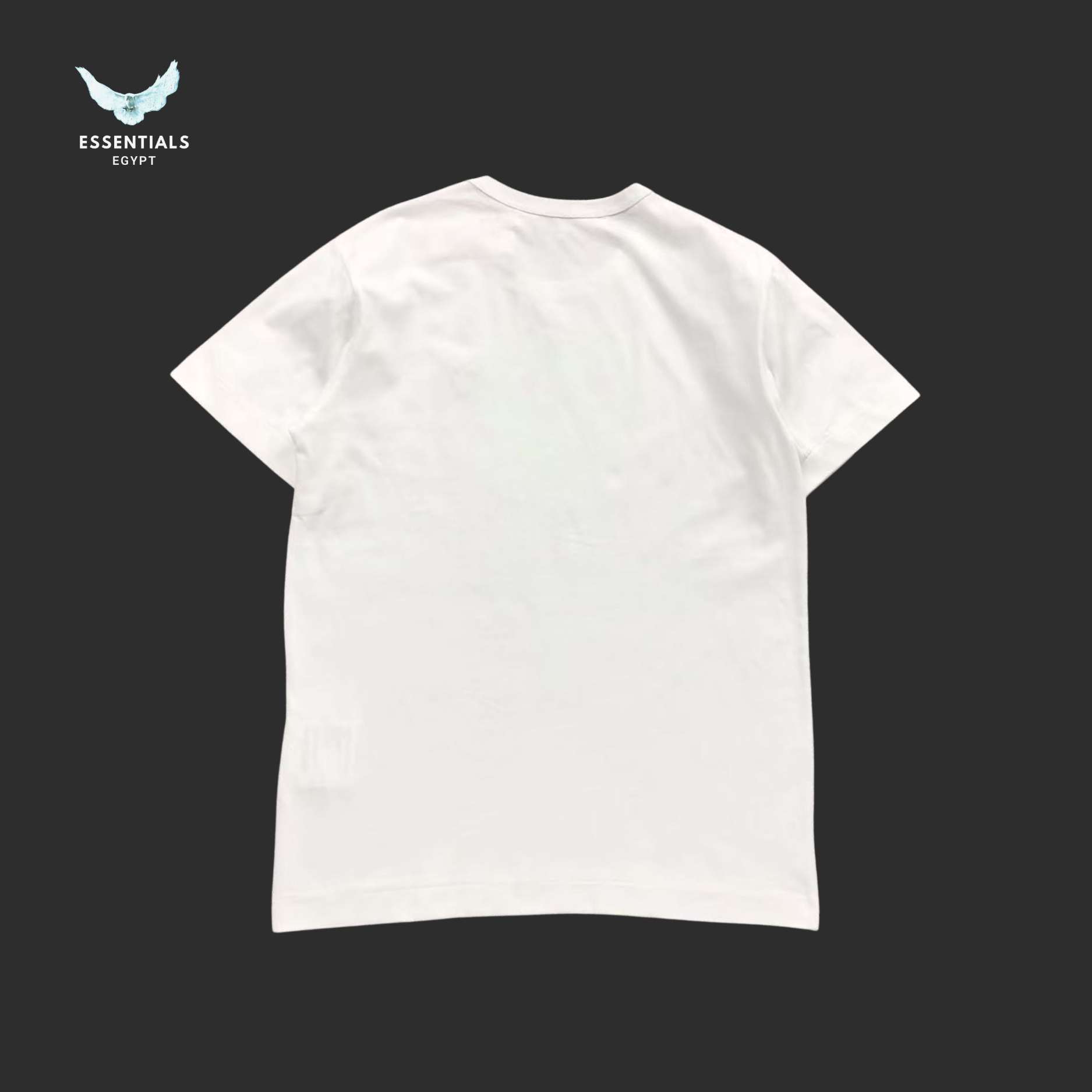 CDG T-SHIRT 413271121 - ESSENTIALS EGYPT