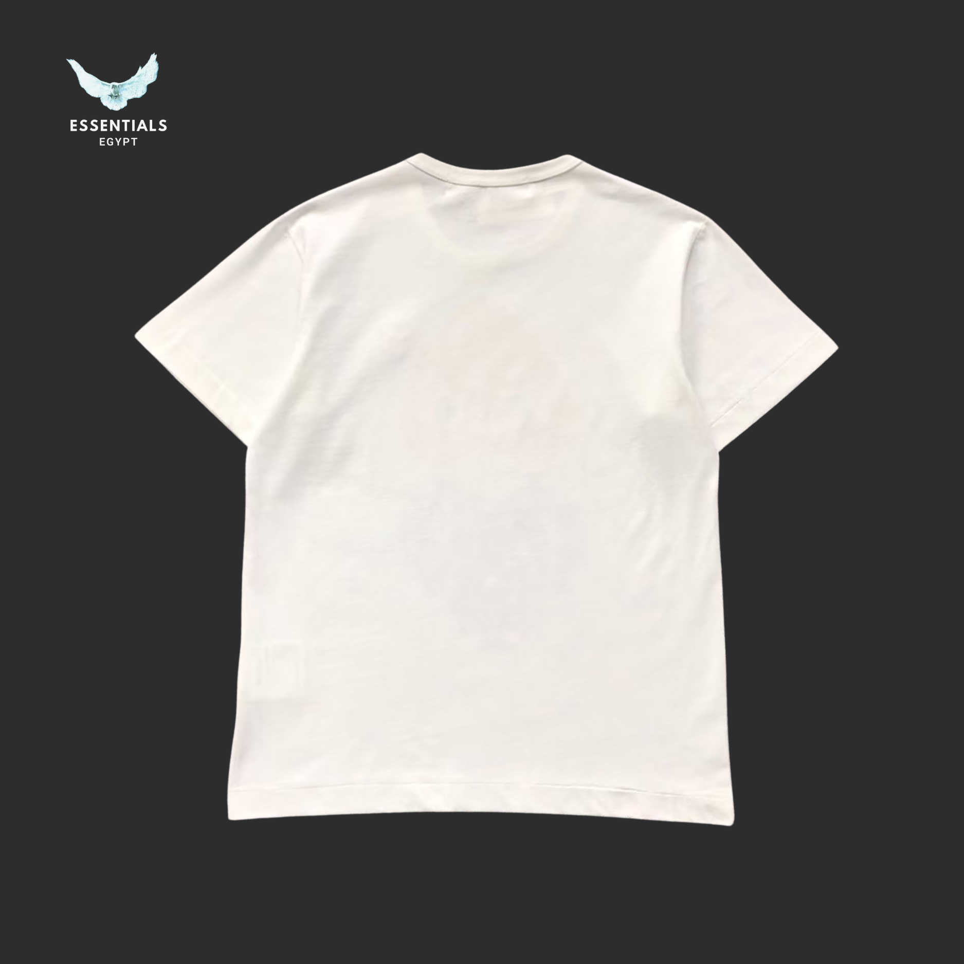 CDG T-SHIRT 413271421 - ESSENTIALS EGYPT