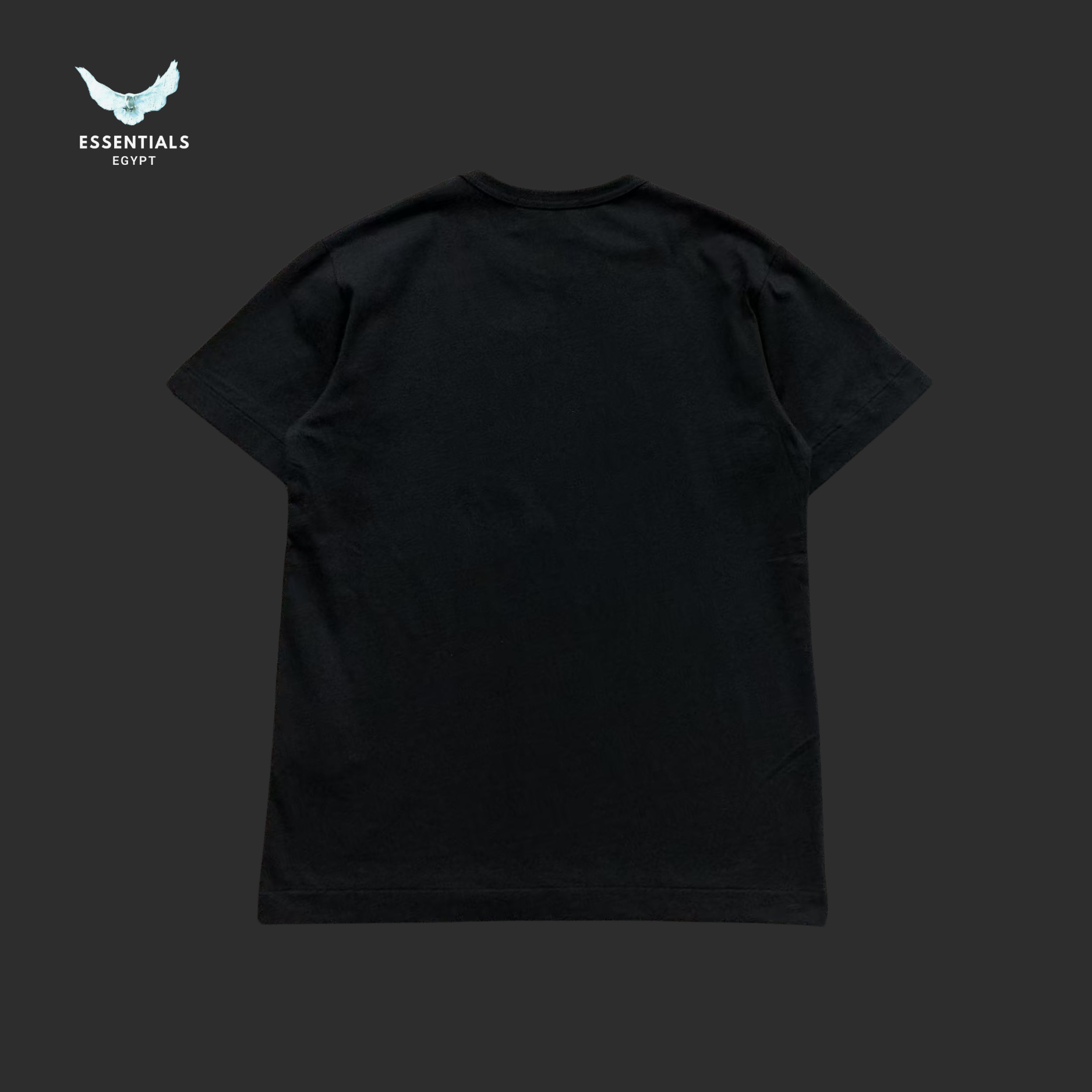 CDG T-SHIRT 503261821 - ESSENTIALS EGYPT