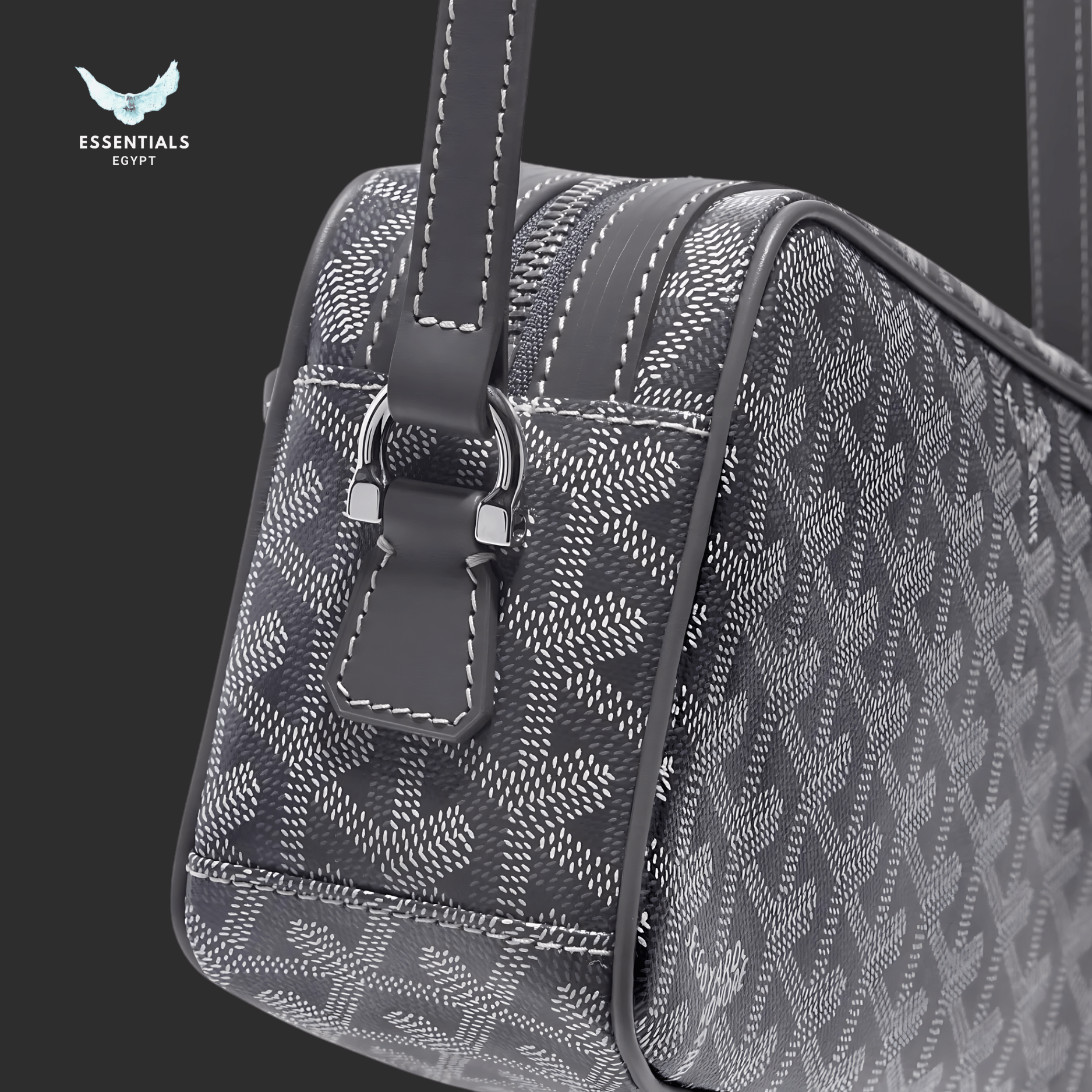 Goyard Cap Vert PM Bag – Grey - ESSENTIALS EGYPT