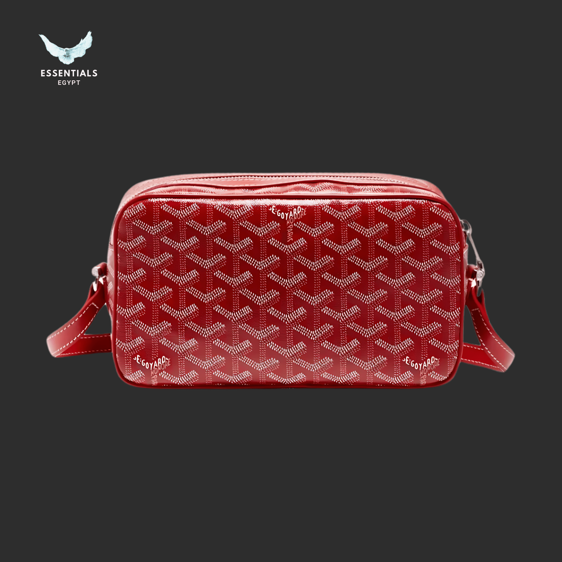 Goyard Cap Vert PM Bag – Red - ESSENTIALS EGYPT