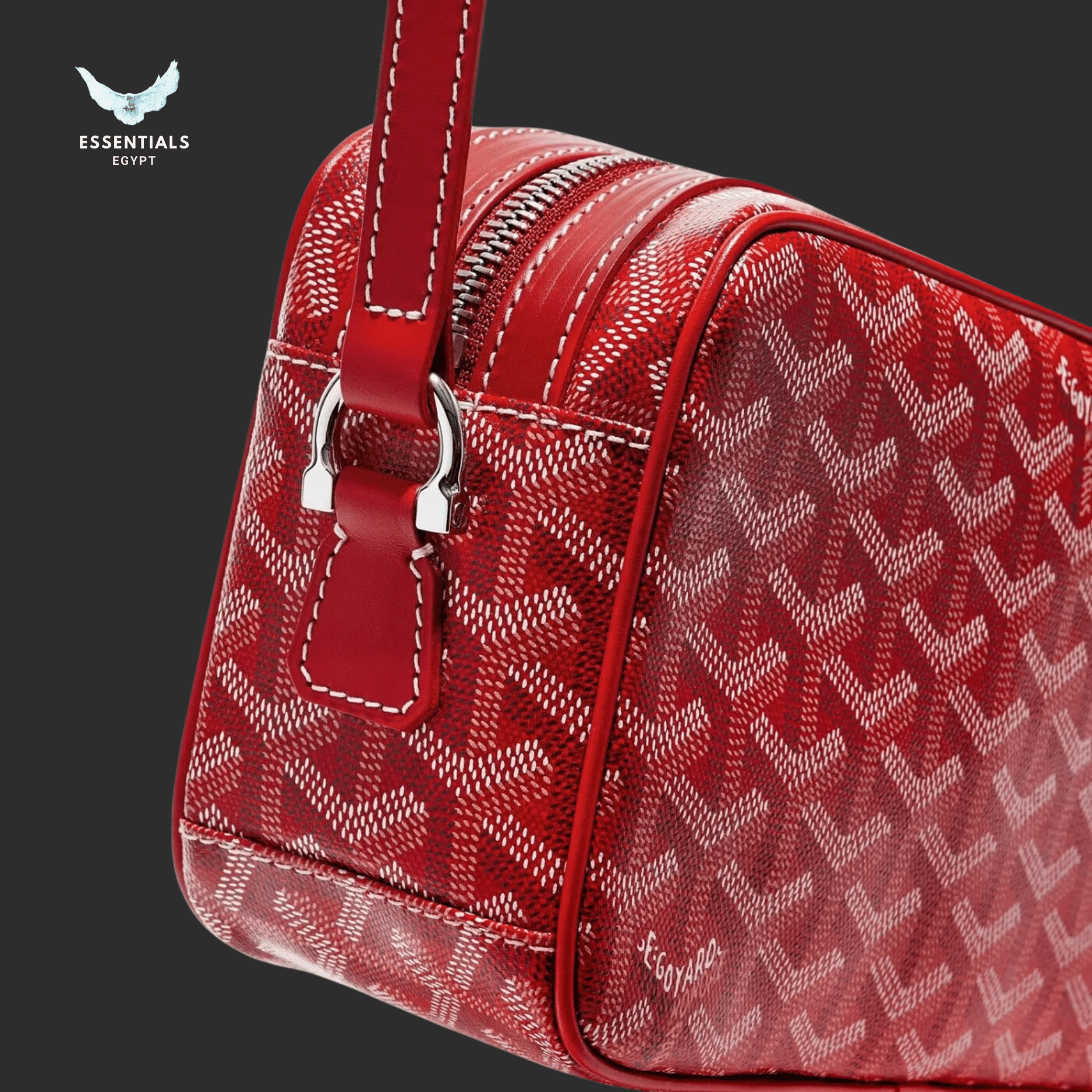 Goyard Cap Vert PM Bag – Red - ESSENTIALS EGYPT