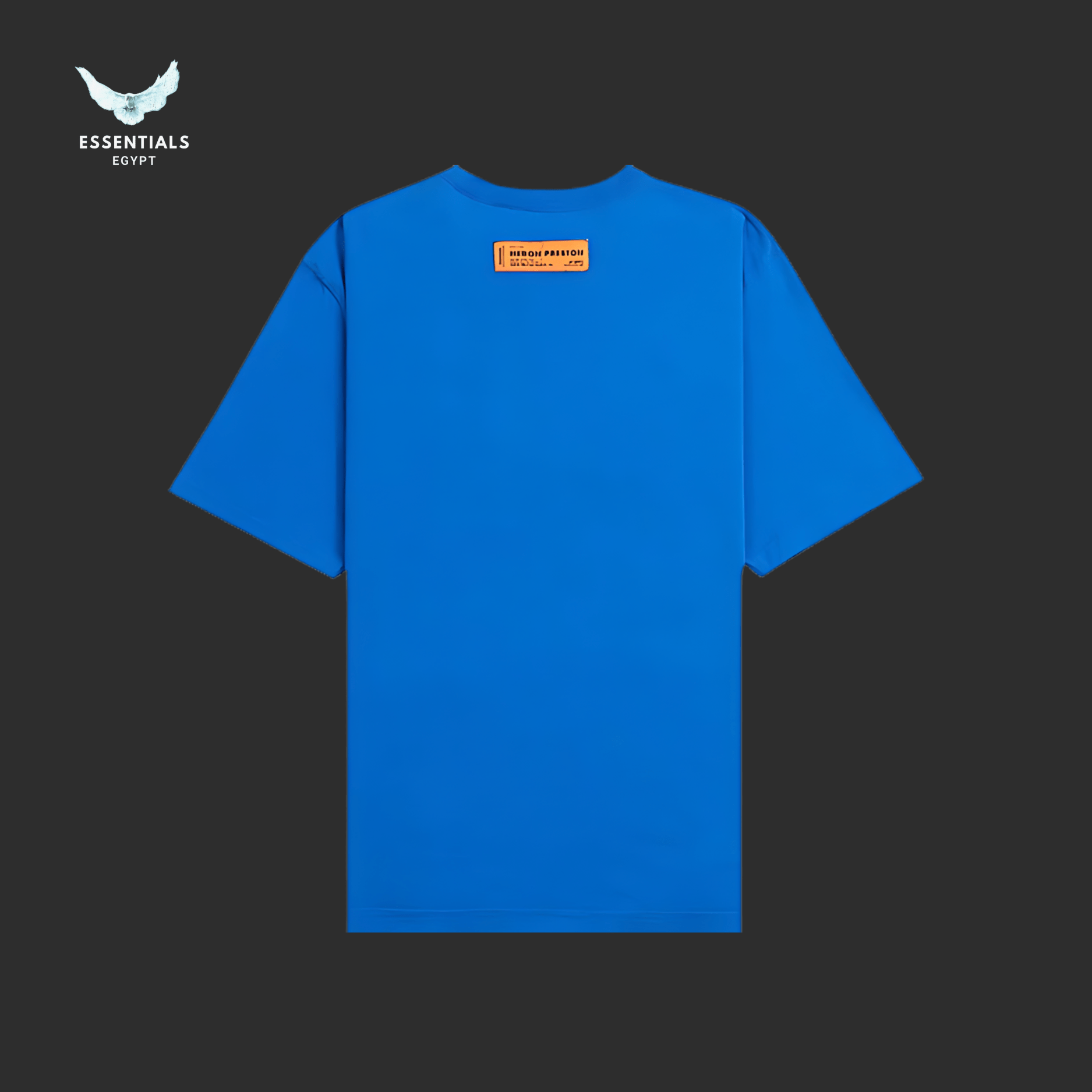 Heron Preston T-Shirt – HPNY Logo Blue - ESSENTIALS EGYPT