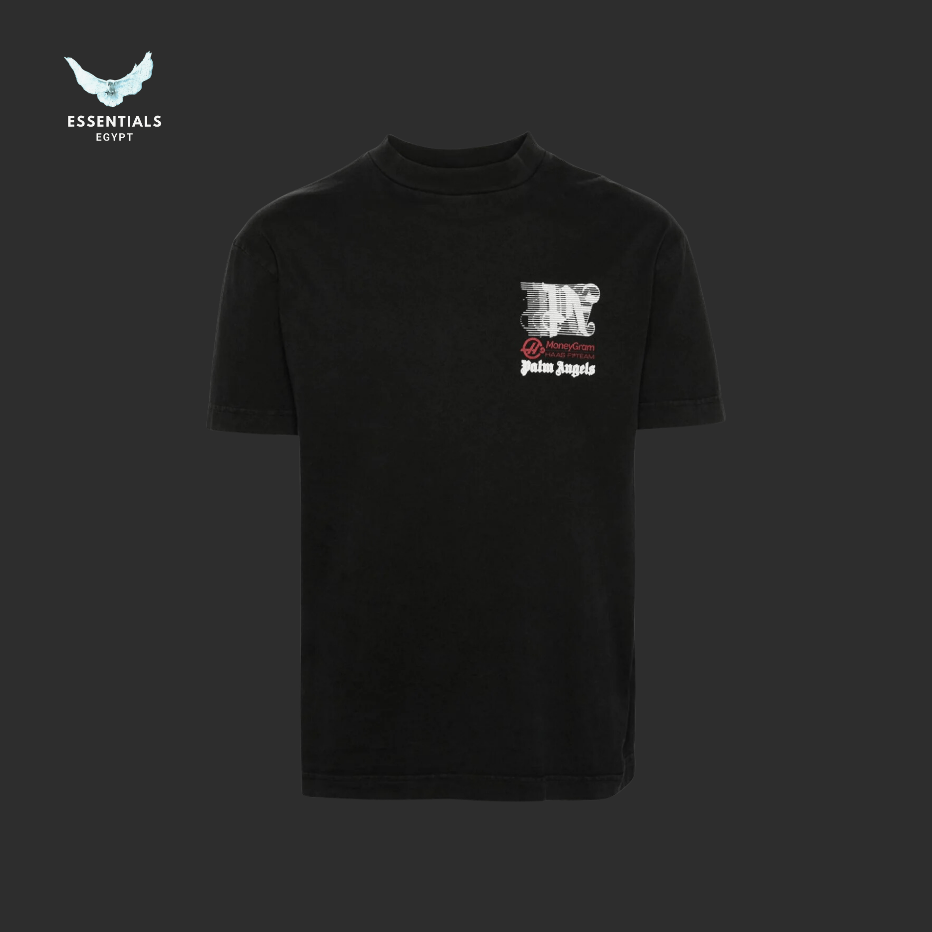 Palm Angels T-Shirt – Haas F1 Team - ESSENTIALS EGYPT