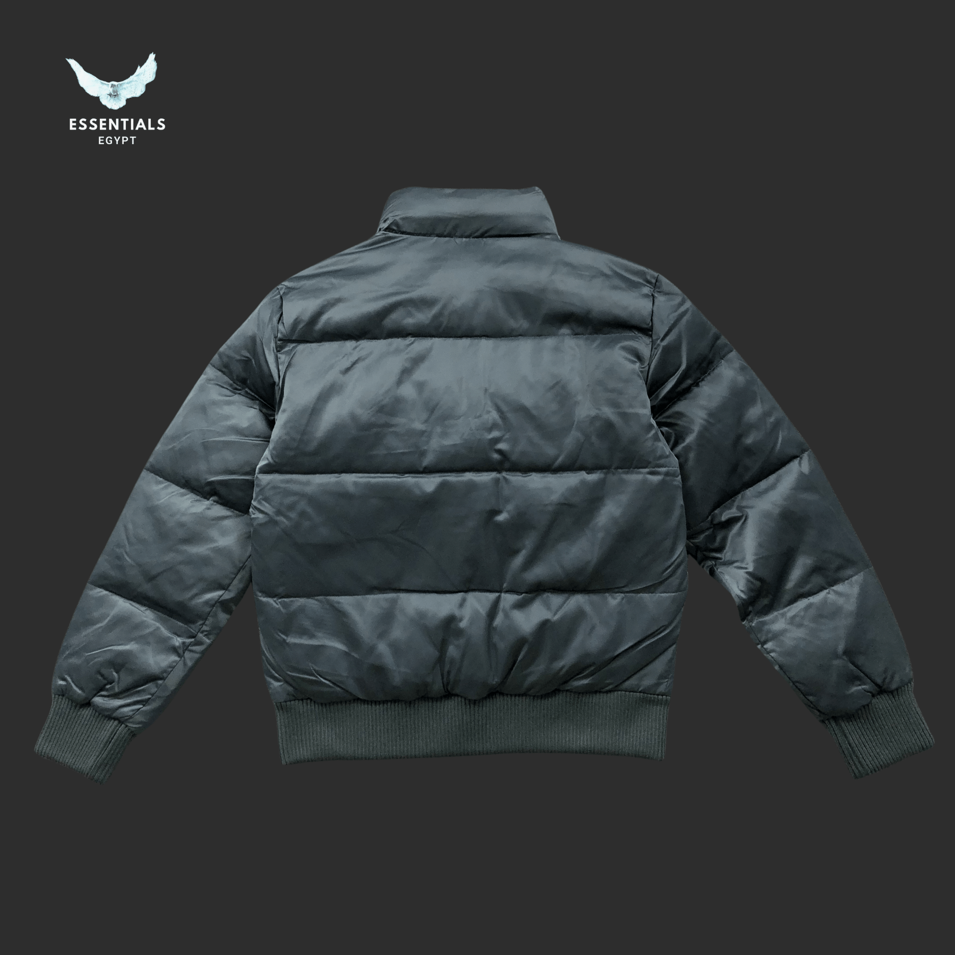 Ralph Lauren Down Jacket – USA Patch Edition - ESSENTIALS EGYPT