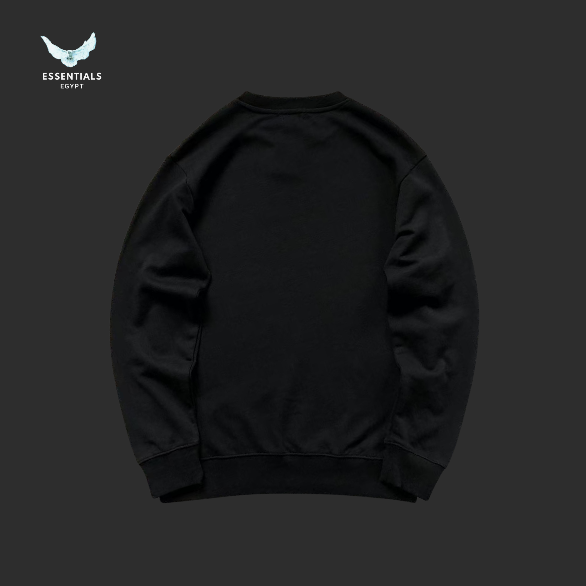 RALPH LAUREN SWEATSHIRT 1108020930