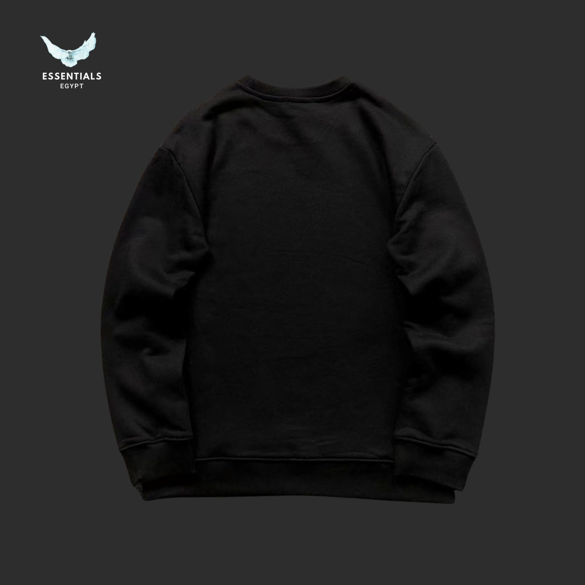 Ralph Lauren Sweatshirt – Classic Crewneck - ESSENTIALS EGYPT