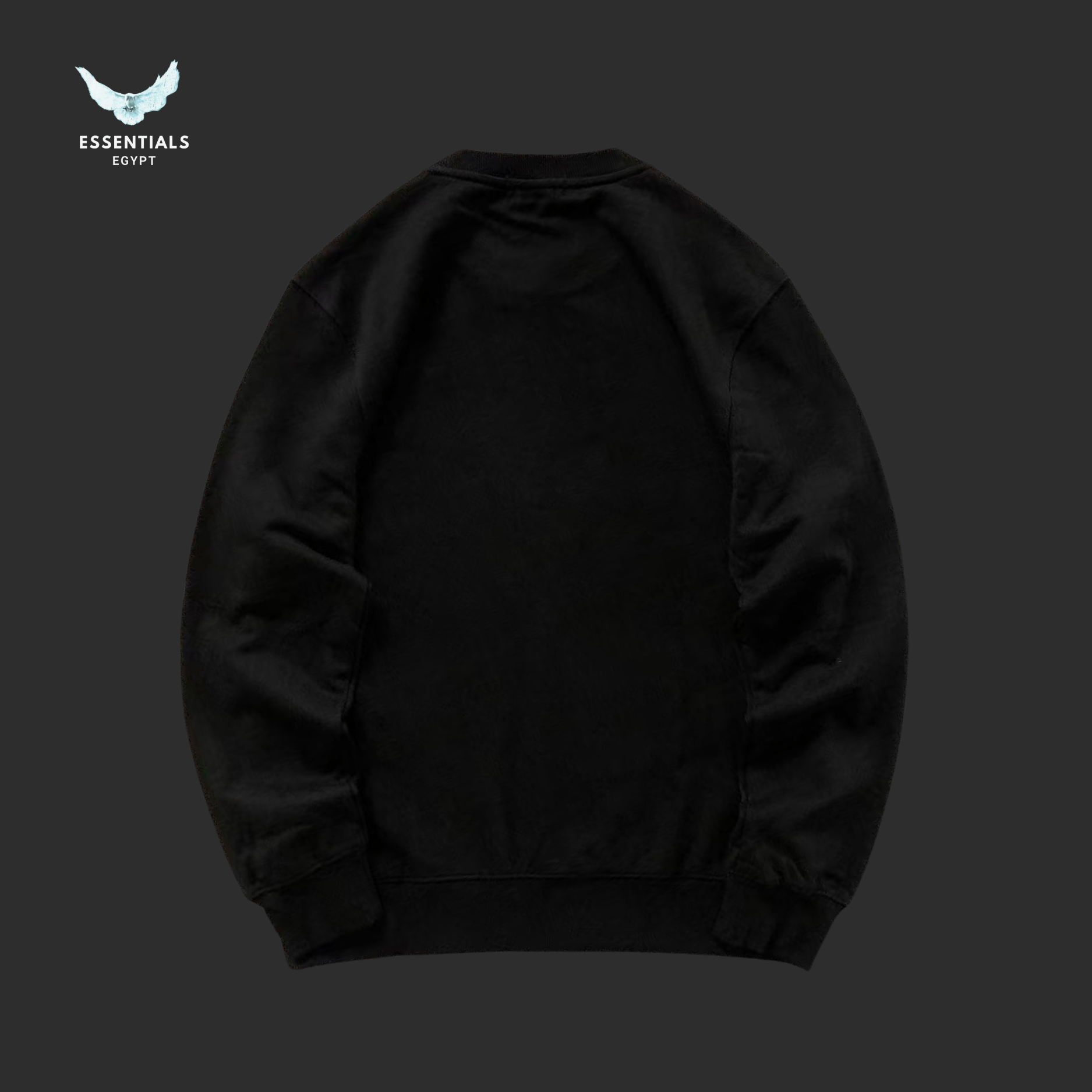 RALPH LAUREN HOODIE 217081704 - ESSENTIALS EGYPT