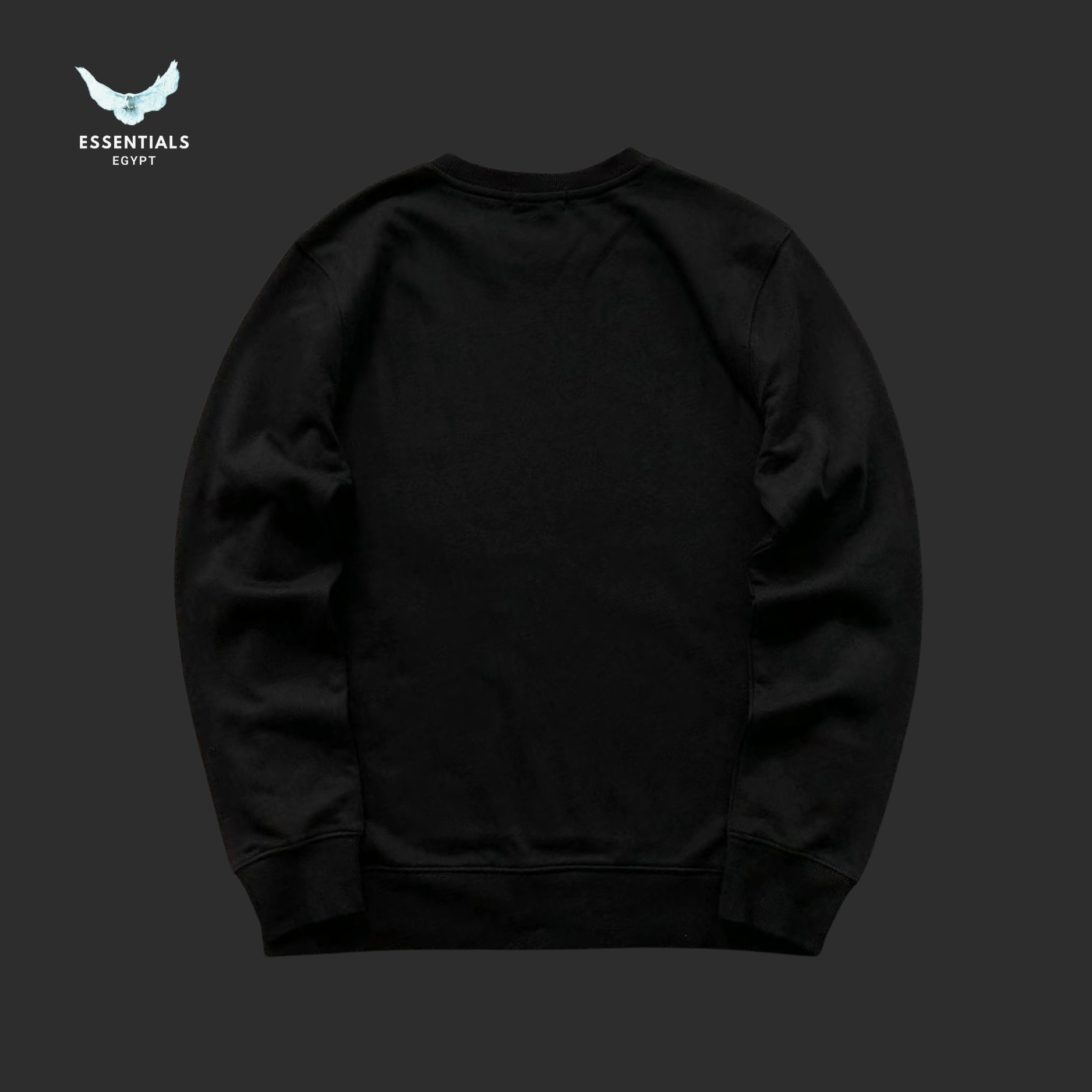 RALPH LAUREN SWEATSHIRT 217082204 - ESSENTIALS EGYPT
