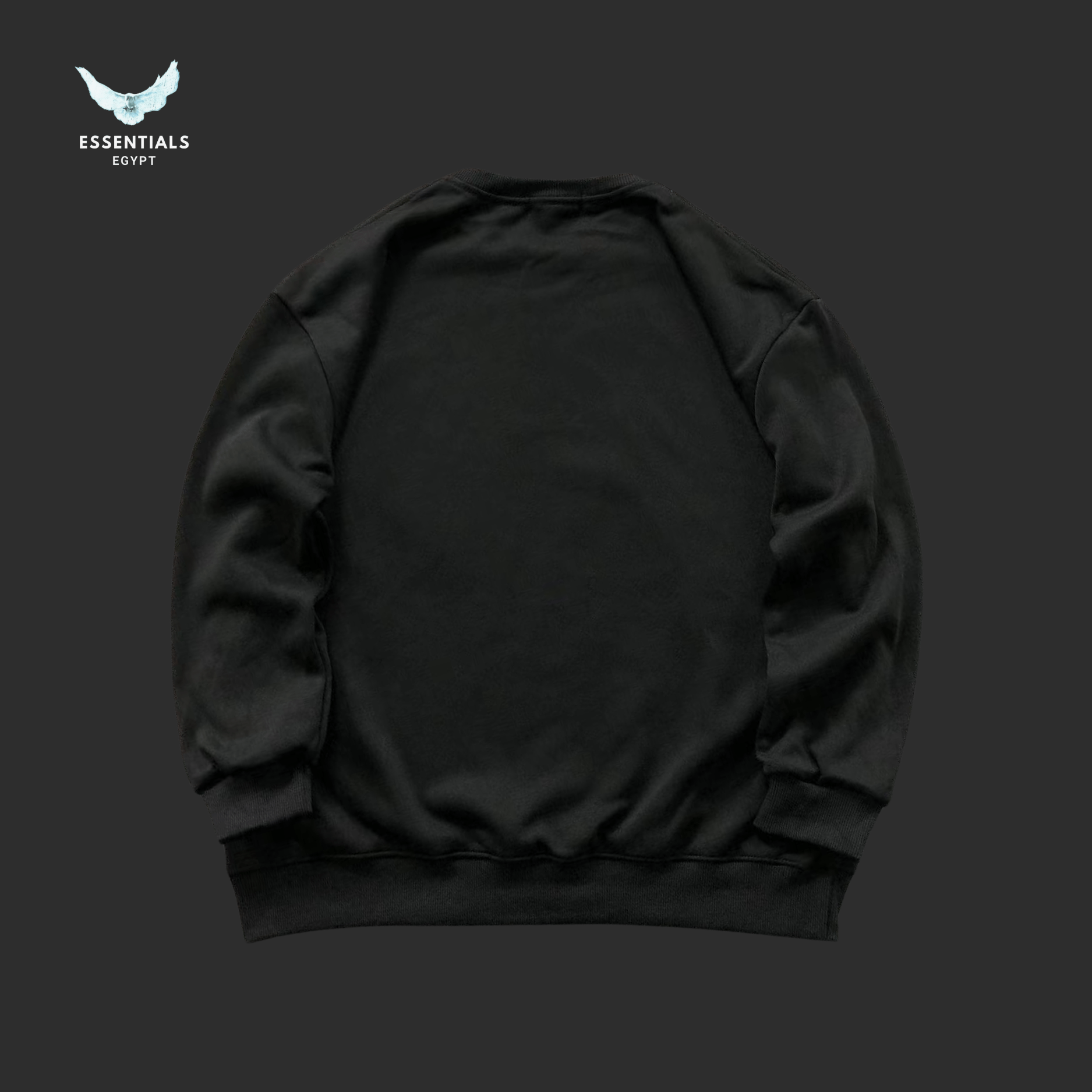 Ralph Lauren Sweatshirt – Multi - Color - ESSENTIALS EGYPT