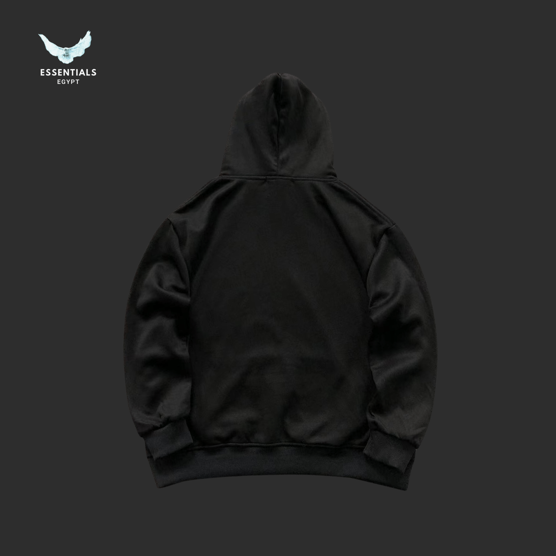 Ralph Lauren Hoodie – Classic Logo Pullover - ESSENTIALS EGYPT