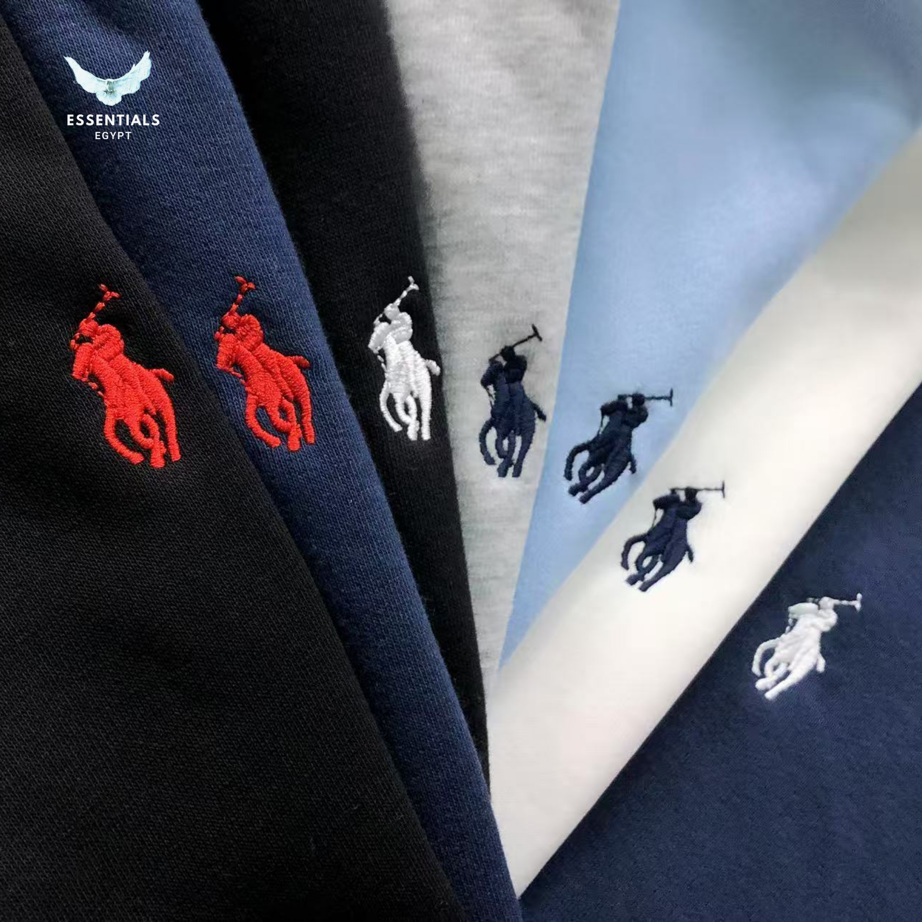 Ralph Lauren Hoodie – Logo Color Range