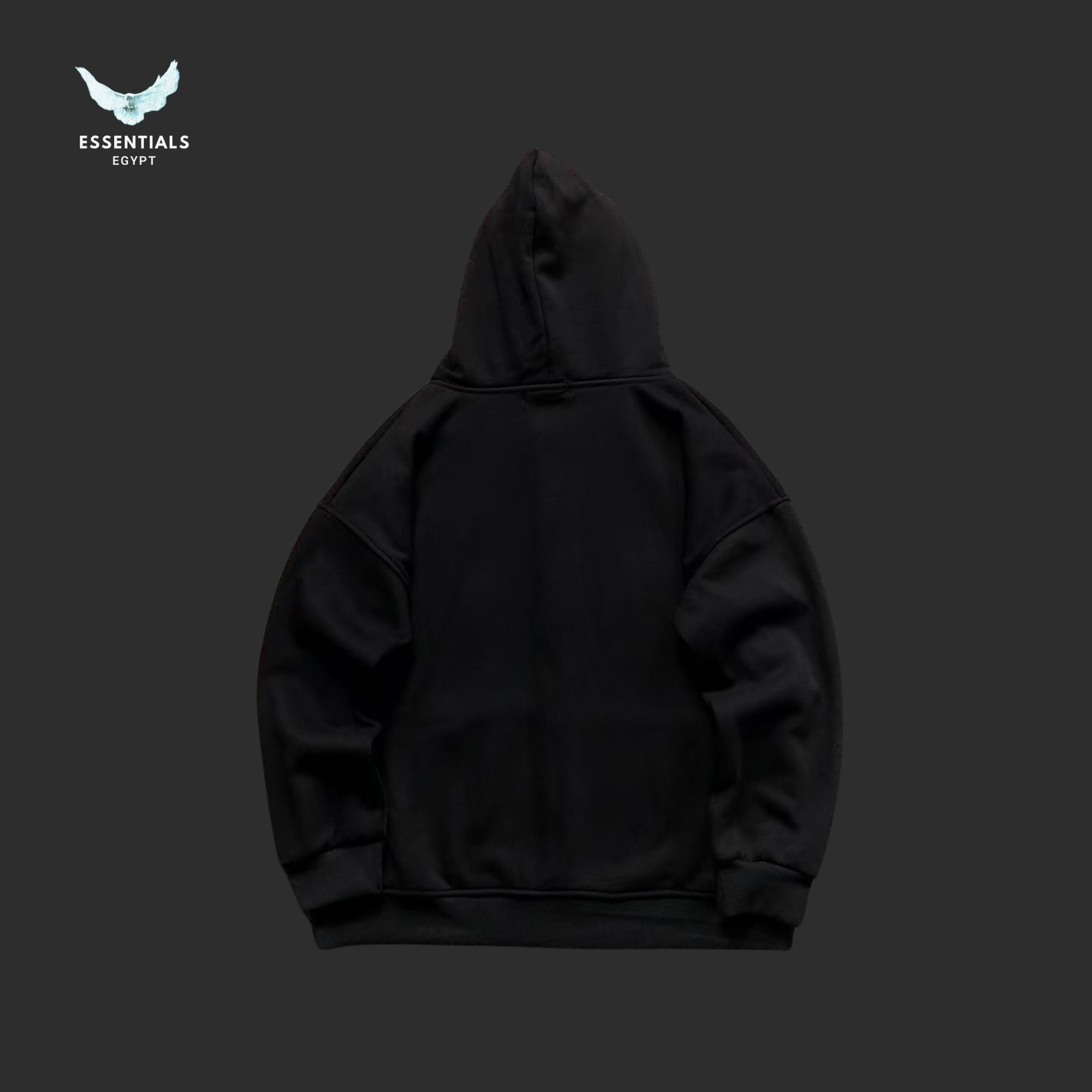 Ralph Lauren Hoodie – Logo Color Range