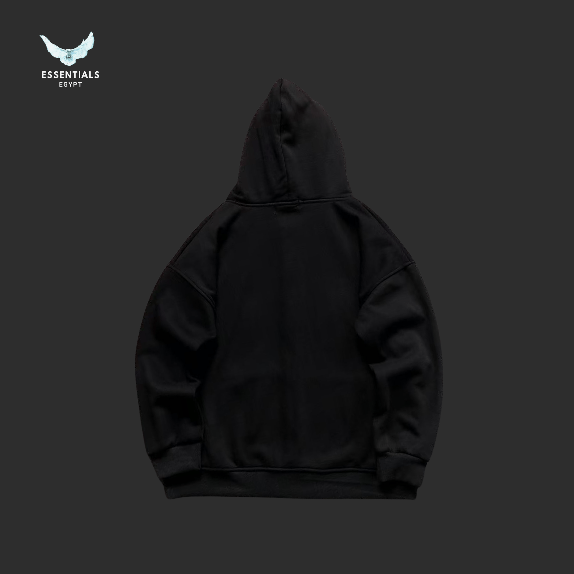 Ralph Lauren Hoodie – Logo Color Range - ESSENTIALS EGYPT