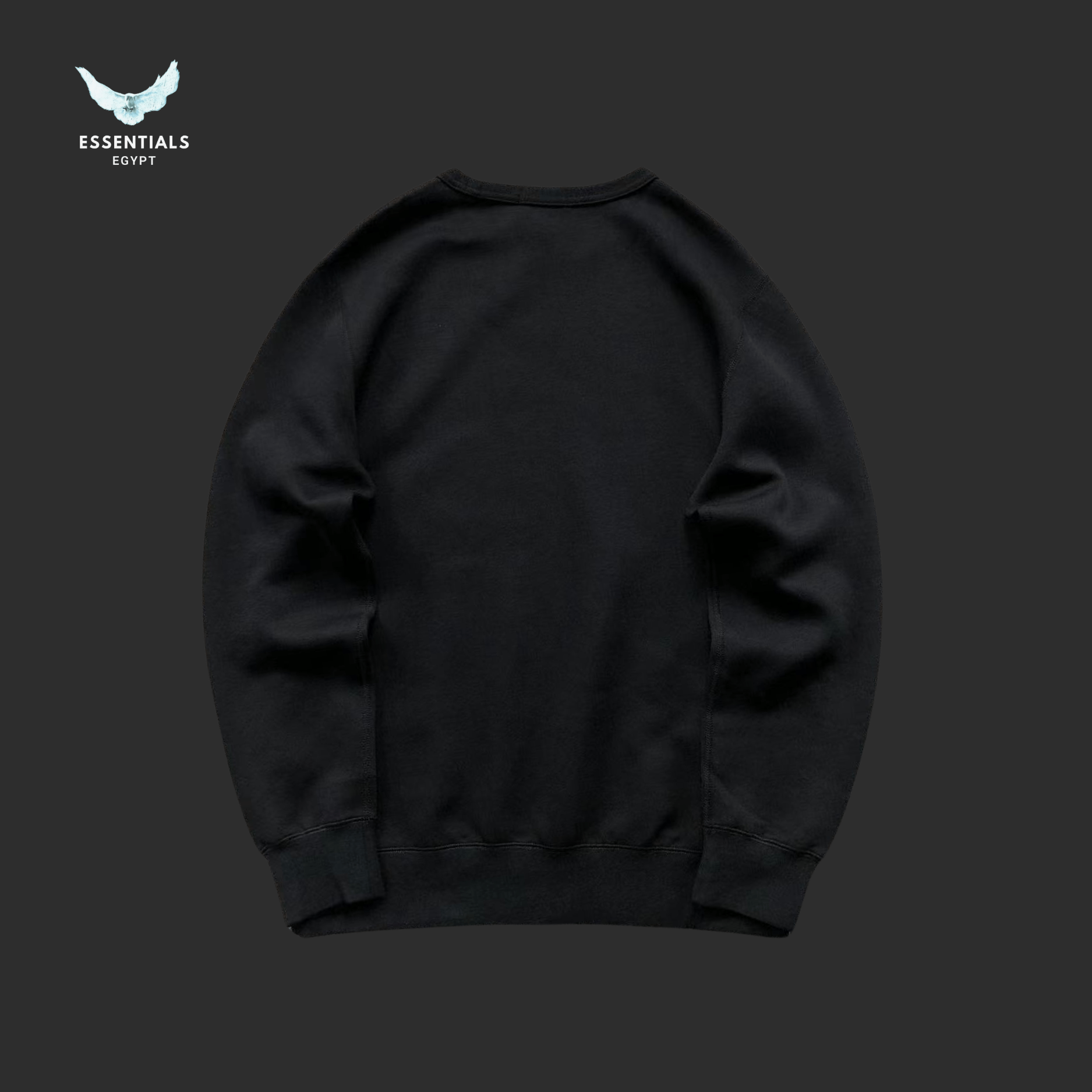 RALPH LAUREN SWEATSHIRT 29291404 - ESSENTIALS EGYPT