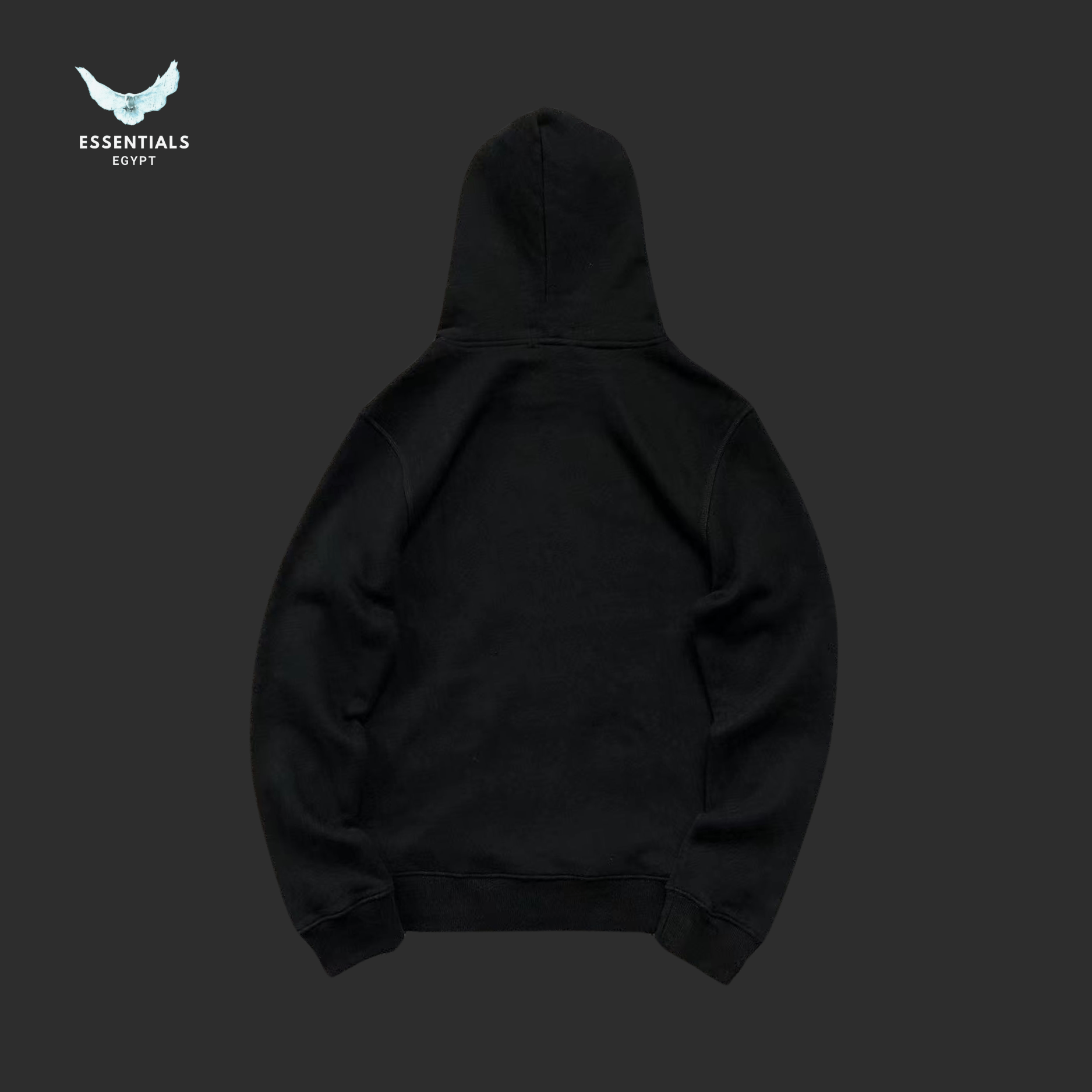 Ralph Lauren Hoodie – Bear with Flag Print - ESSENTIALS EGYPT
