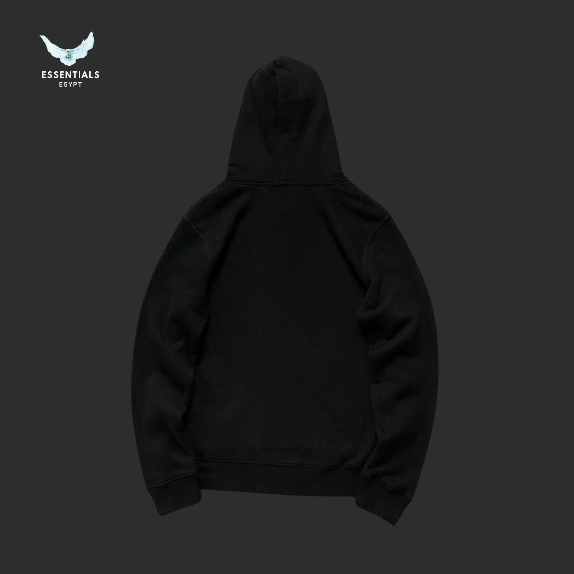 Ralph Lauren Hoodie – Twin Bear Print - ESSENTIALS EGYPT