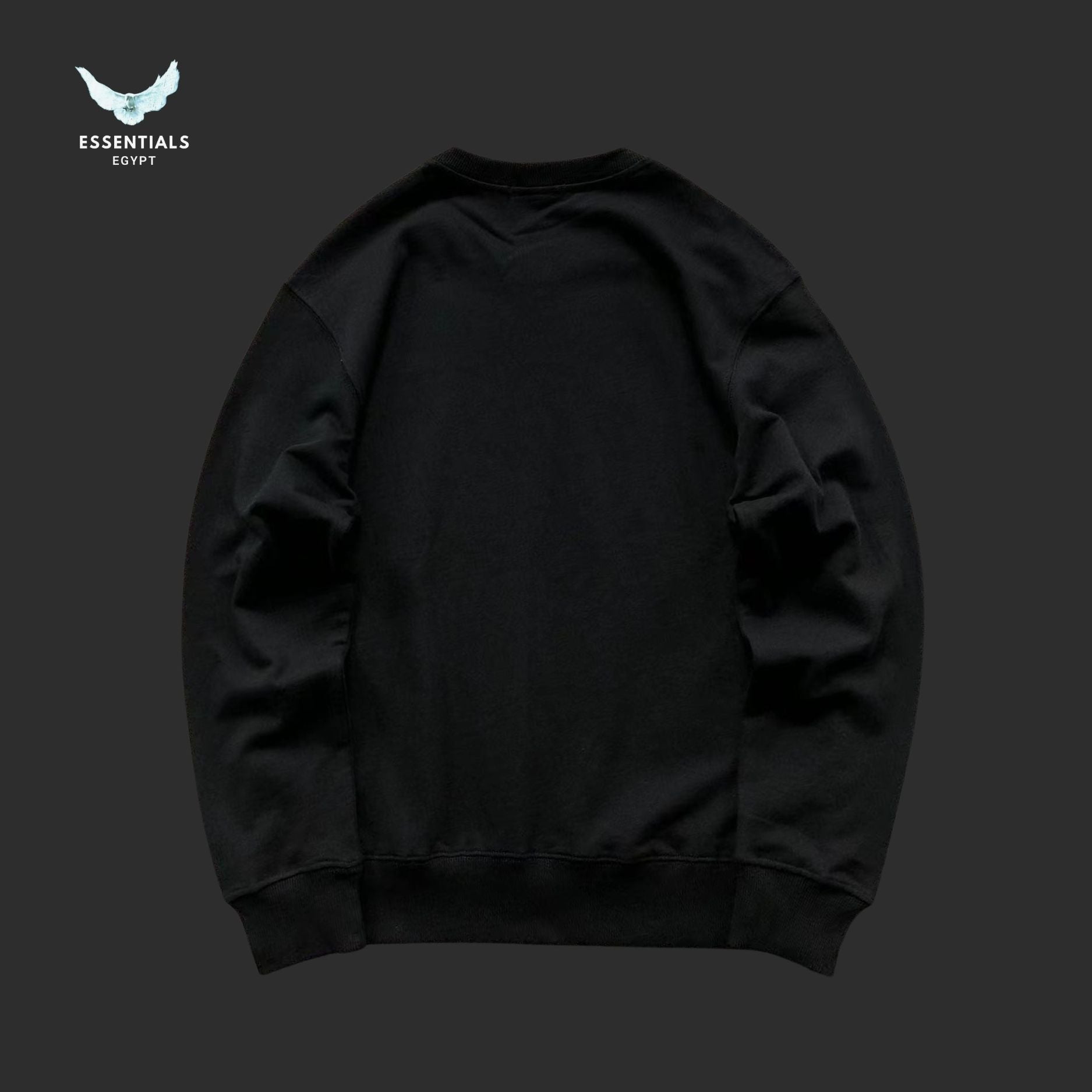 RALPH LAUREN SWEATSHIRT 310210117 - ESSENTIALS EGYPT