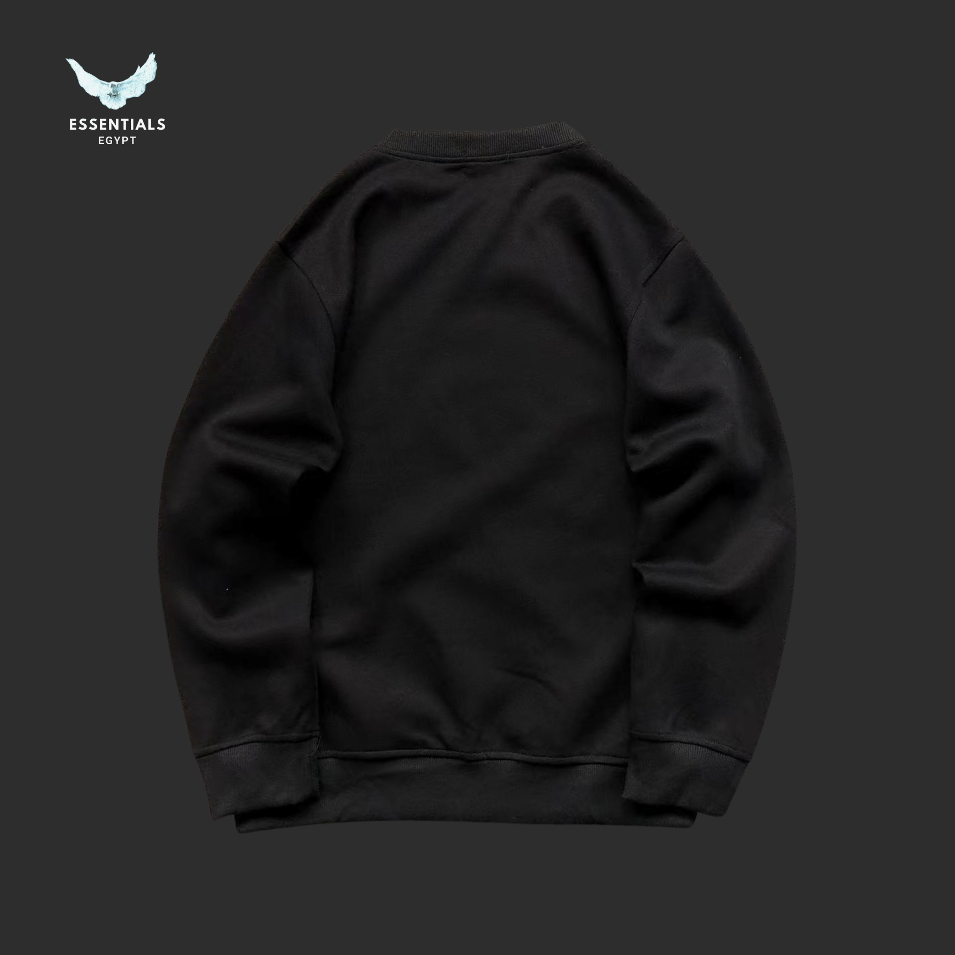 RALPH LAUREN SWEATSHIRT 3107080721 - ESSENTIALS EGYPT