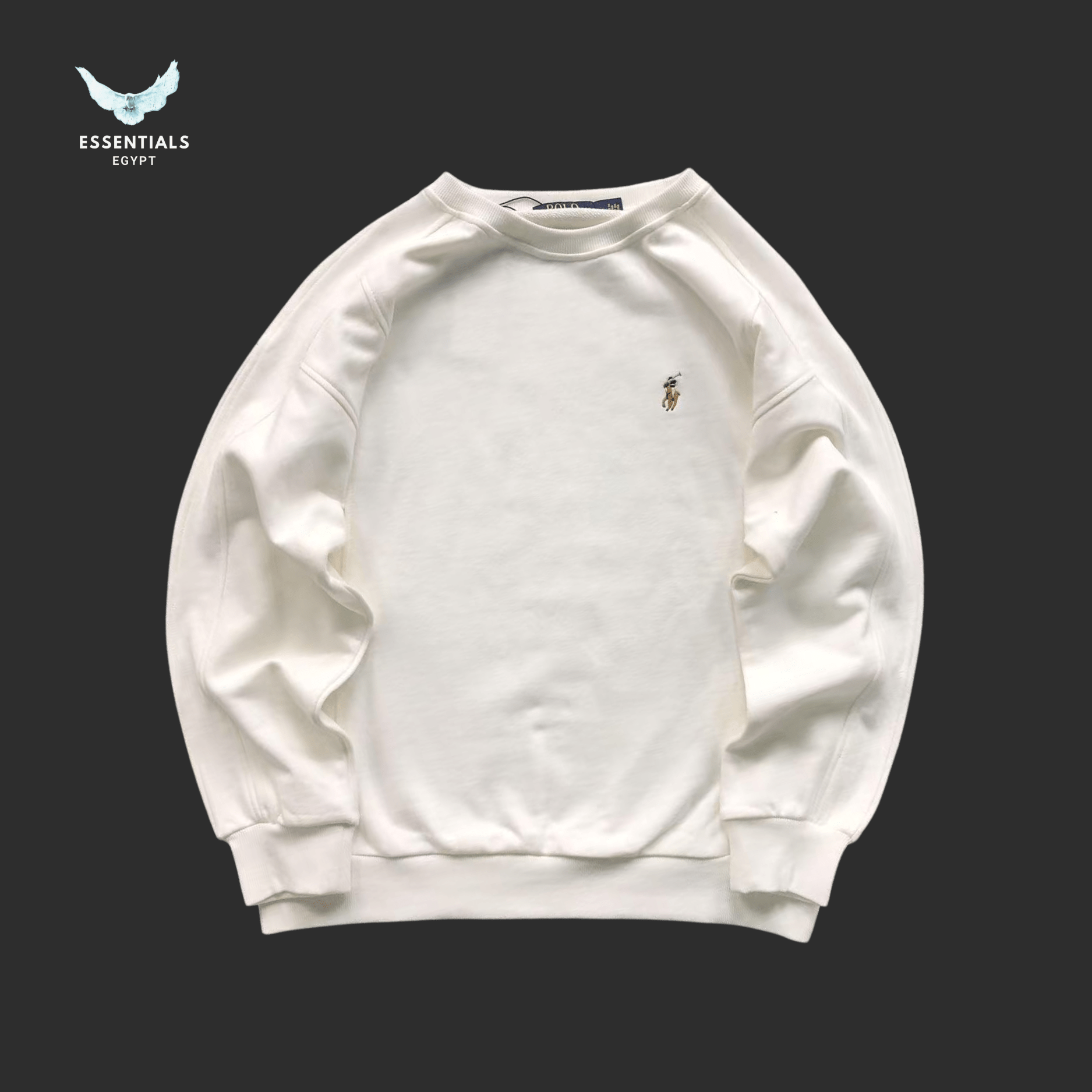 Ralph Lauren Hoodie – Embroidered Polo Logo - ESSENTIALS EGYPT