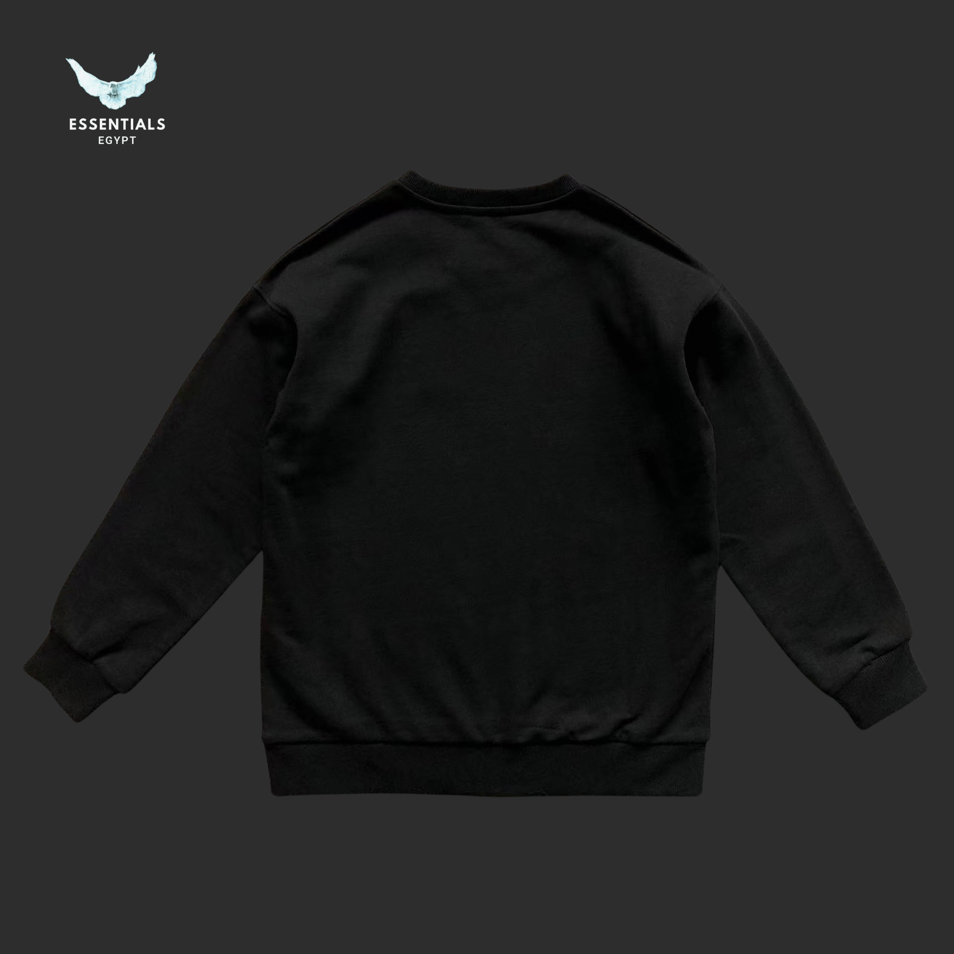 Ralph Lauren Hoodie – Embroidered Polo Logo - ESSENTIALS EGYPT