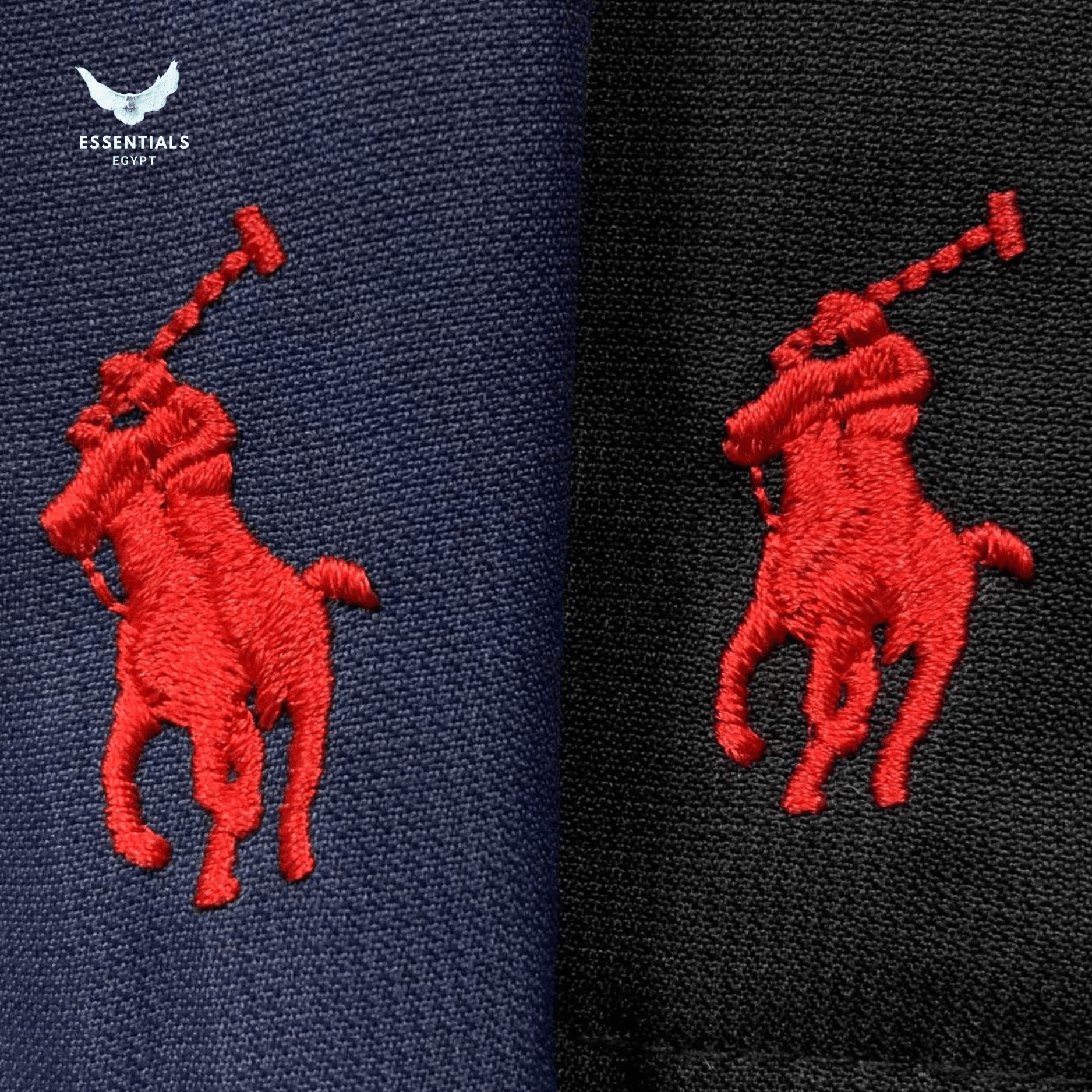 Ralph Lauren Jacket – Hooded Windbreaker - ESSENTIALS EGYPT