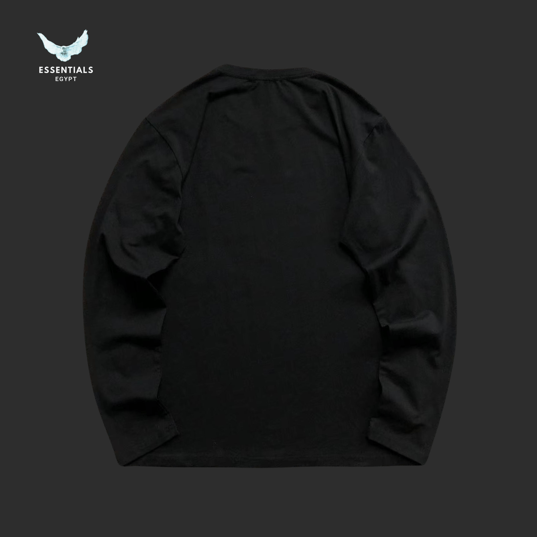 Ralph Lauren Long Sleeve – Colorblock Fold - ESSENTIALS EGYPT