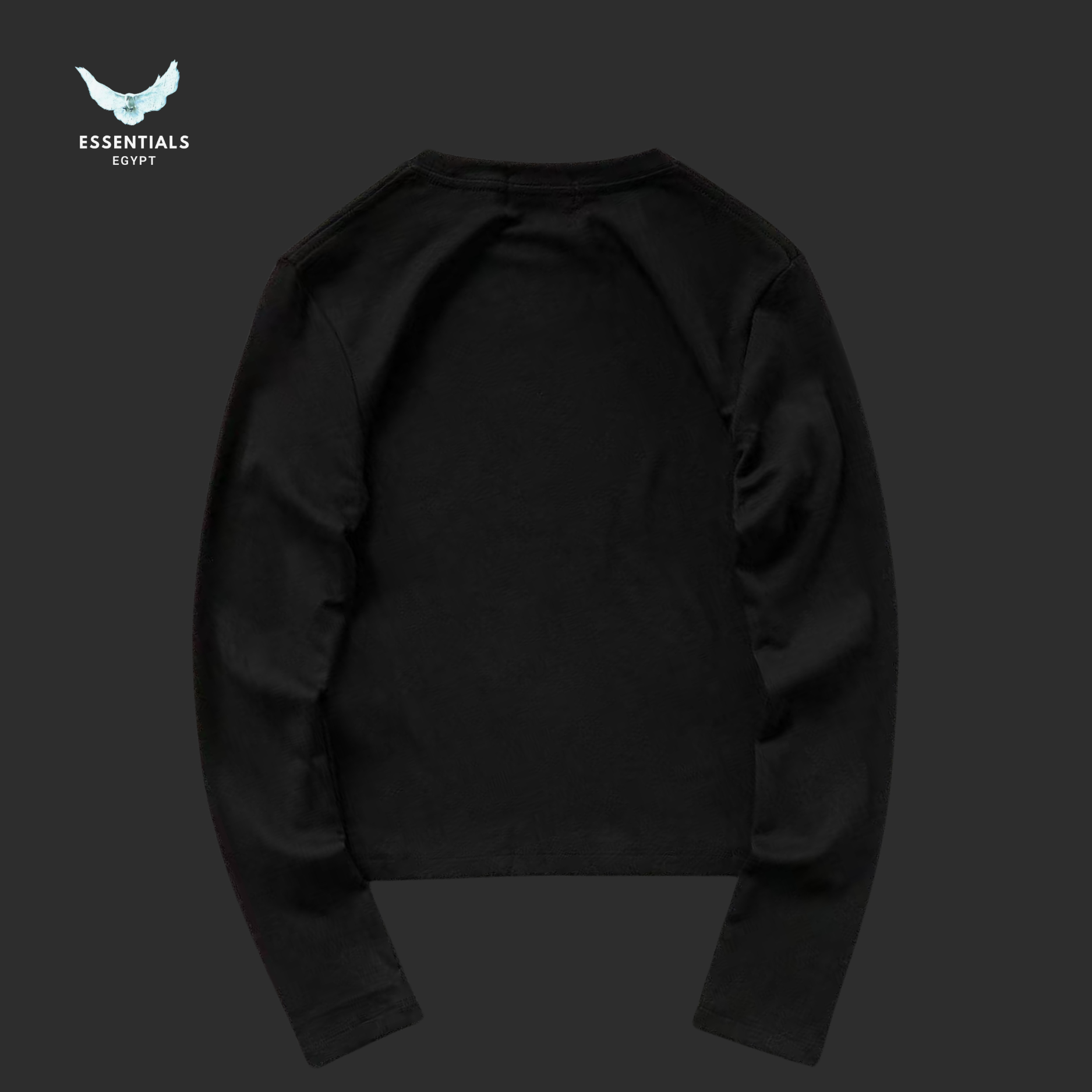 RALPH LAUREN LONG SLEEVED FEMAIE STYIE 217310801