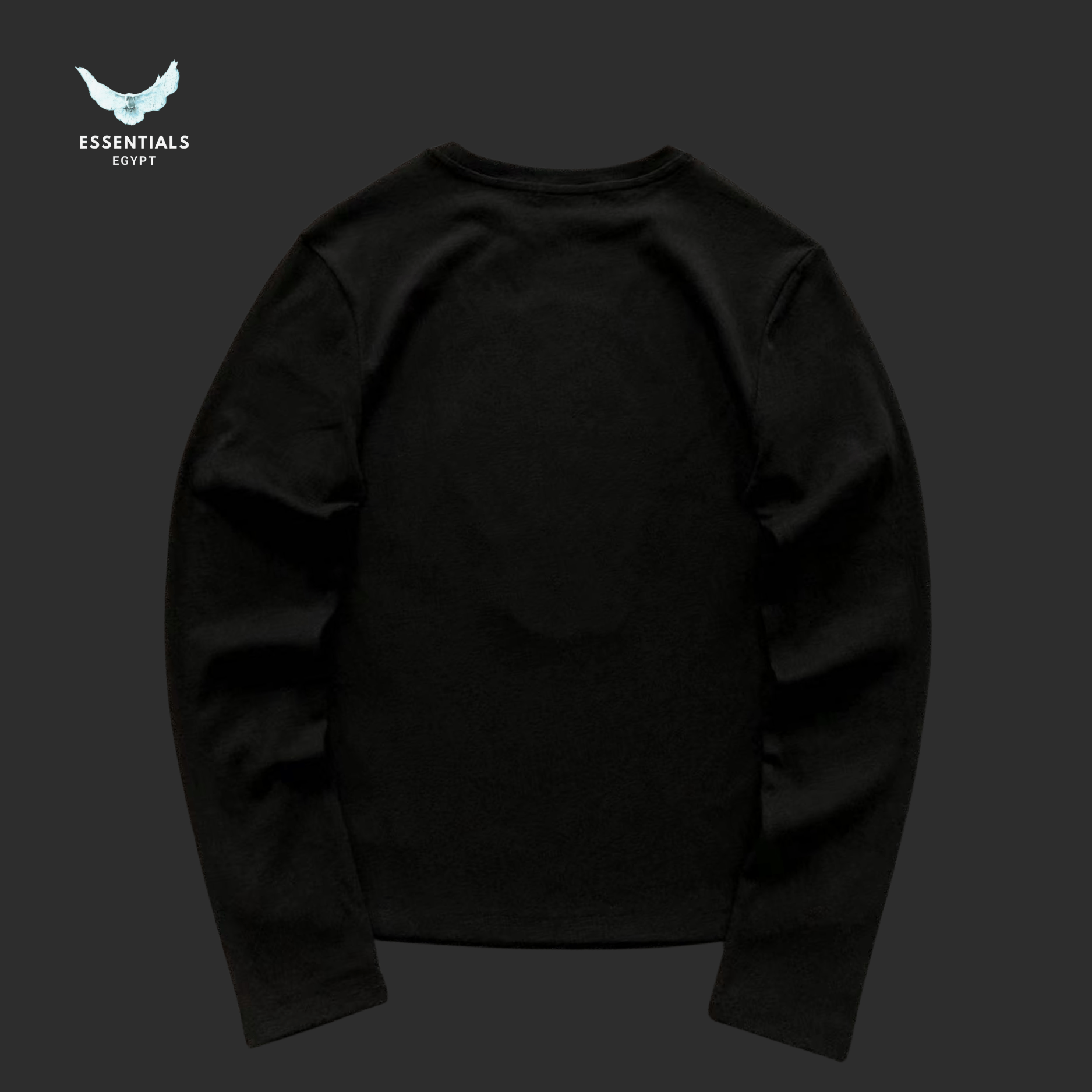 Ralph Lauren Long Sleeve T-Shirt – Polo Bear Graphic - ESSENTIALS EGYPT