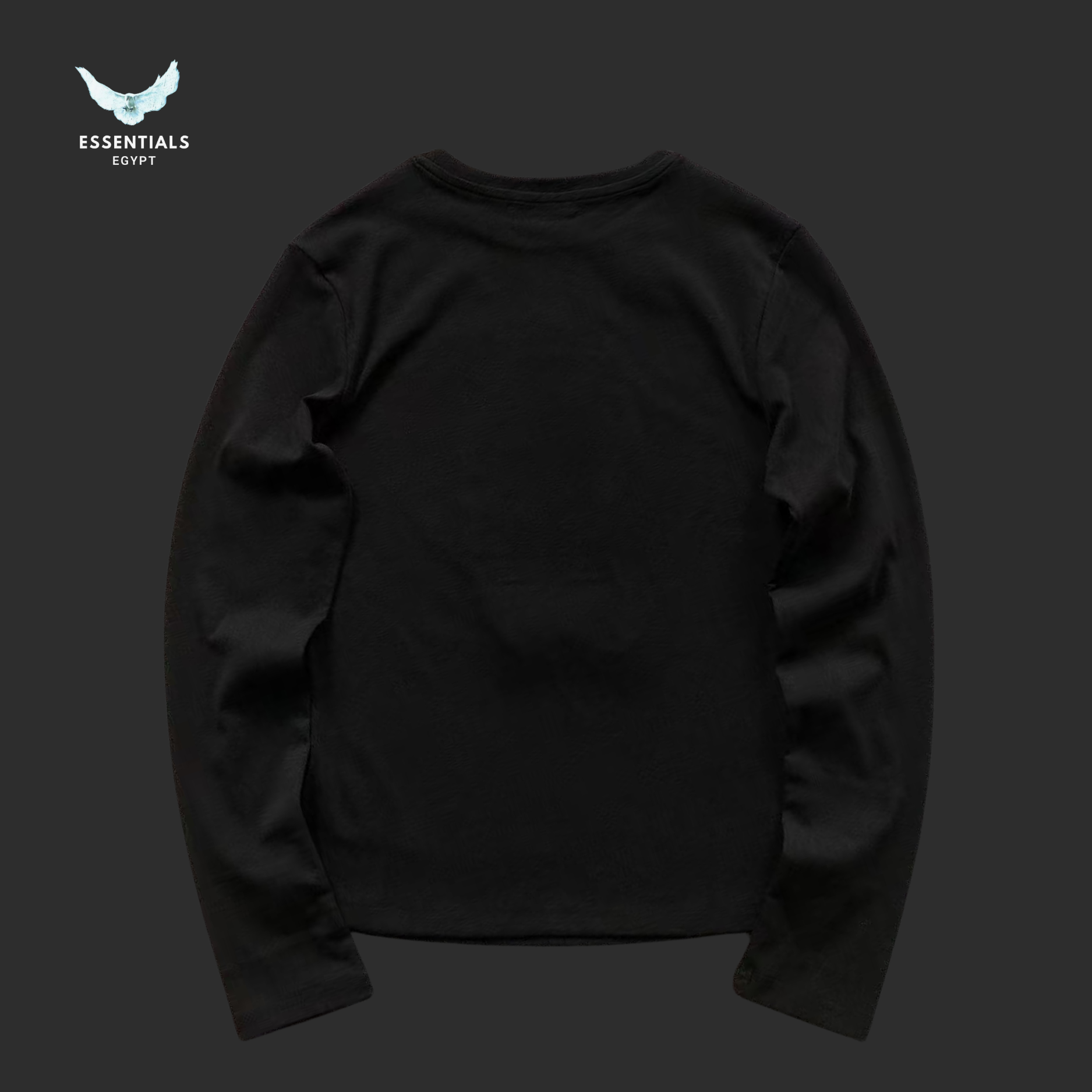 Ralph Lauren Polo Bear Sweatshirt – Crewneck Cotton