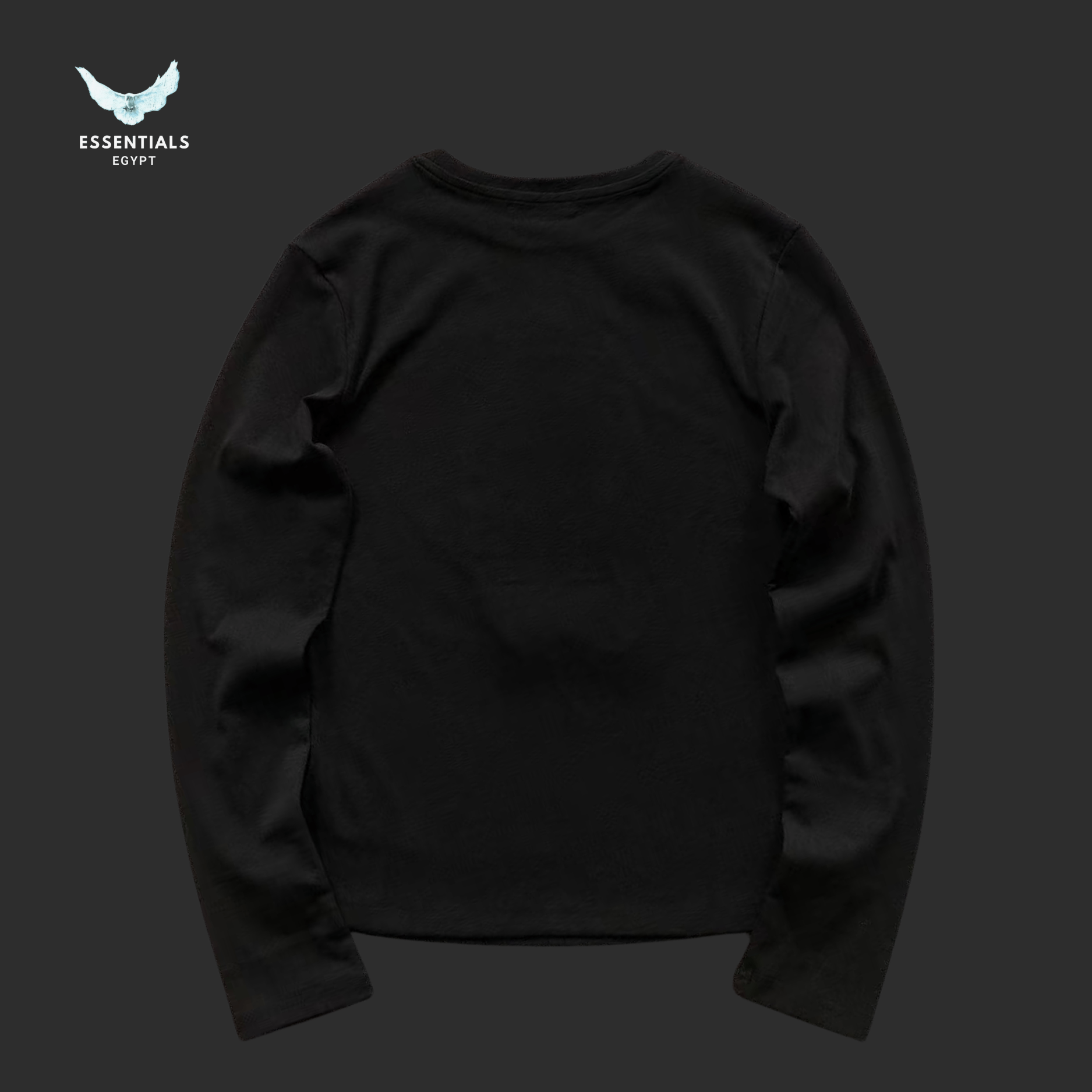 Ralph Lauren Polo Bear Sweatshirt – Crewneck Cotton - ESSENTIALS EGYPT