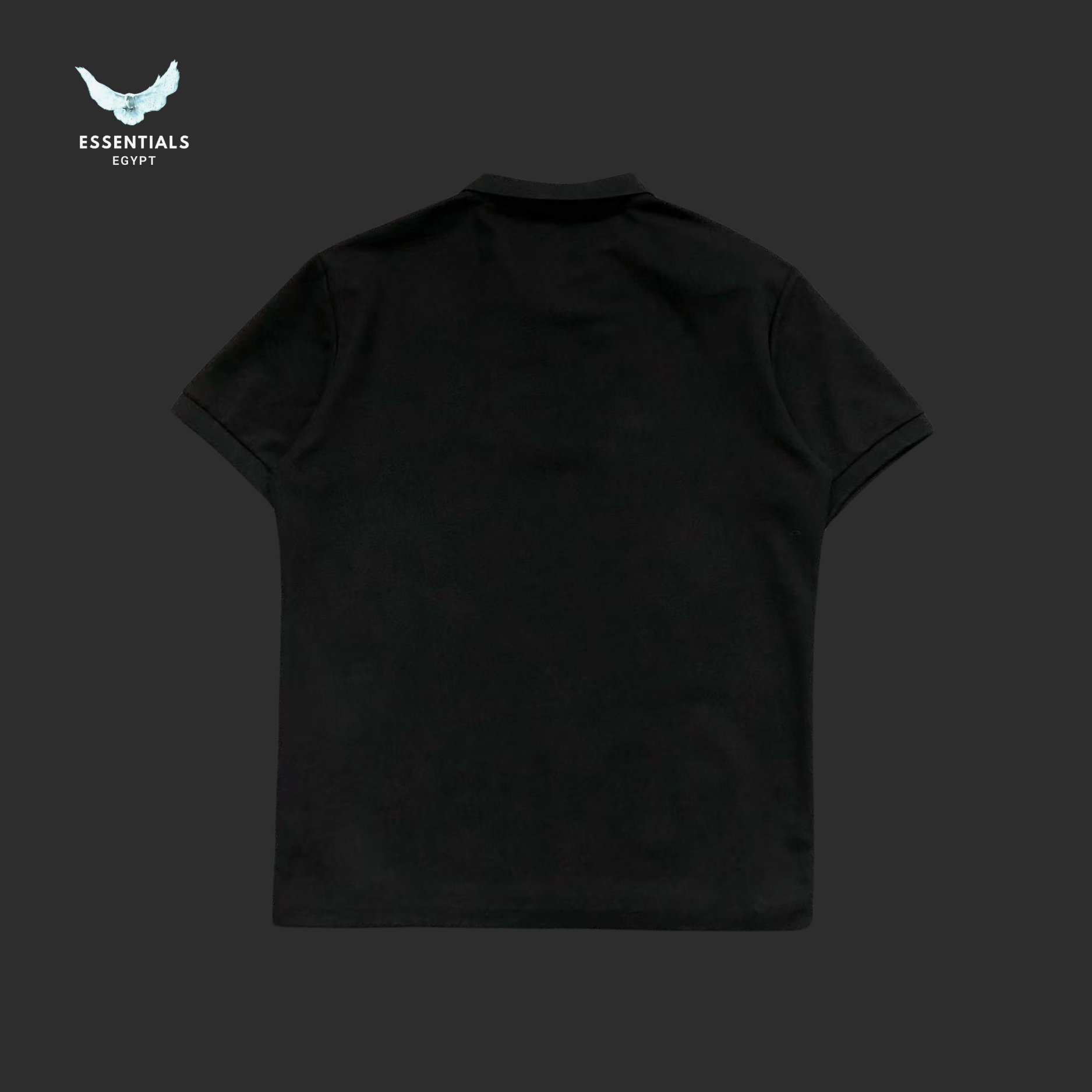 Ralph Lauren Polo – Two - Tone Pony Logo - ESSENTIALS EGYPT