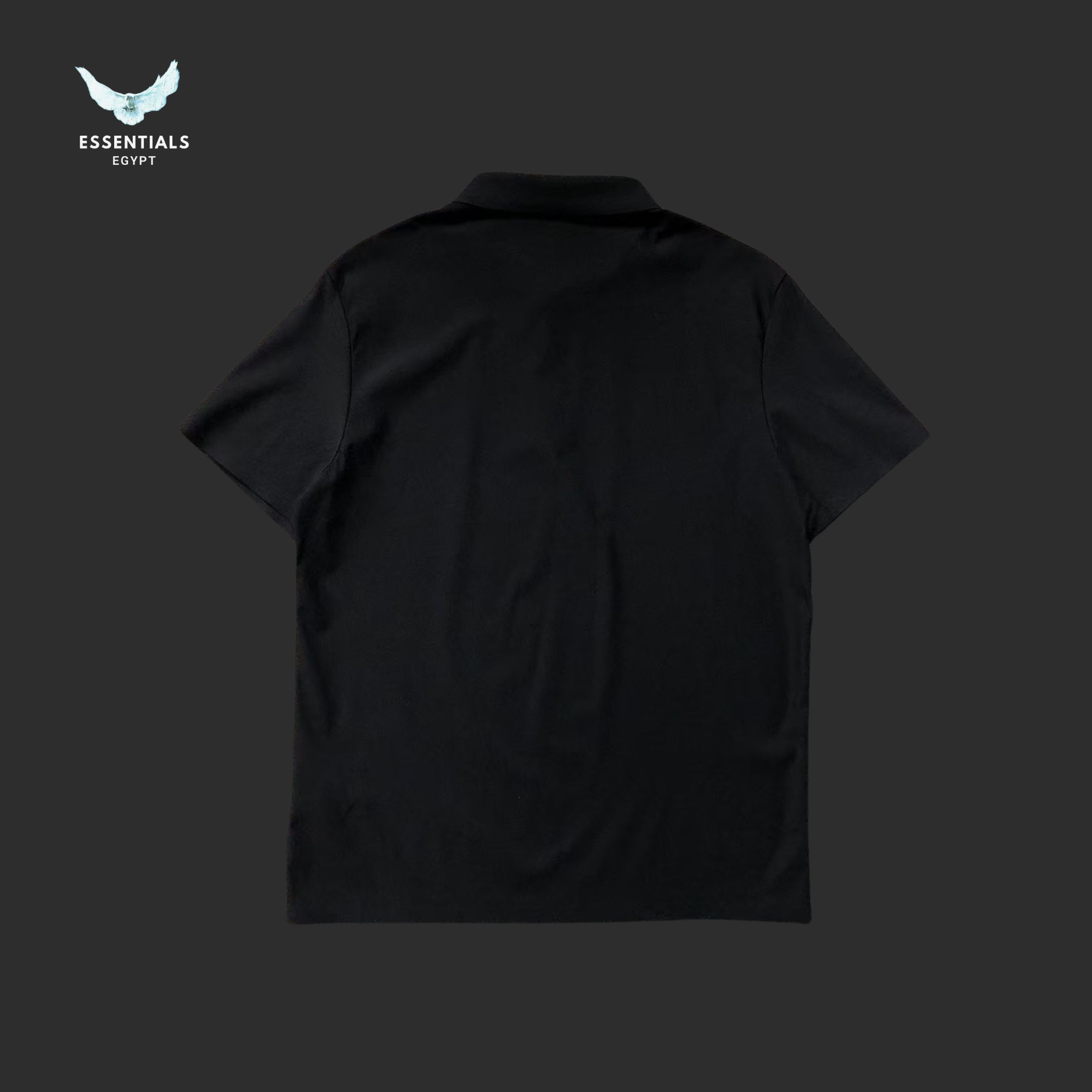 Ralph Lauren Polo – Classic Multicolor Logo