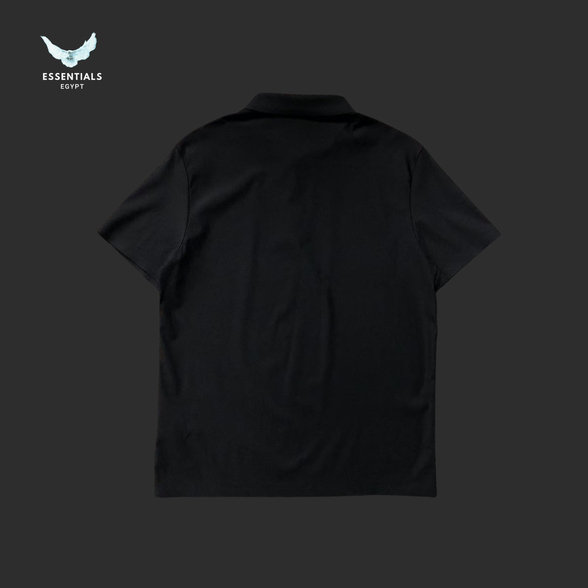 Ralph Lauren Polo – Classic Multicolor Logo - ESSENTIALS EGYPT