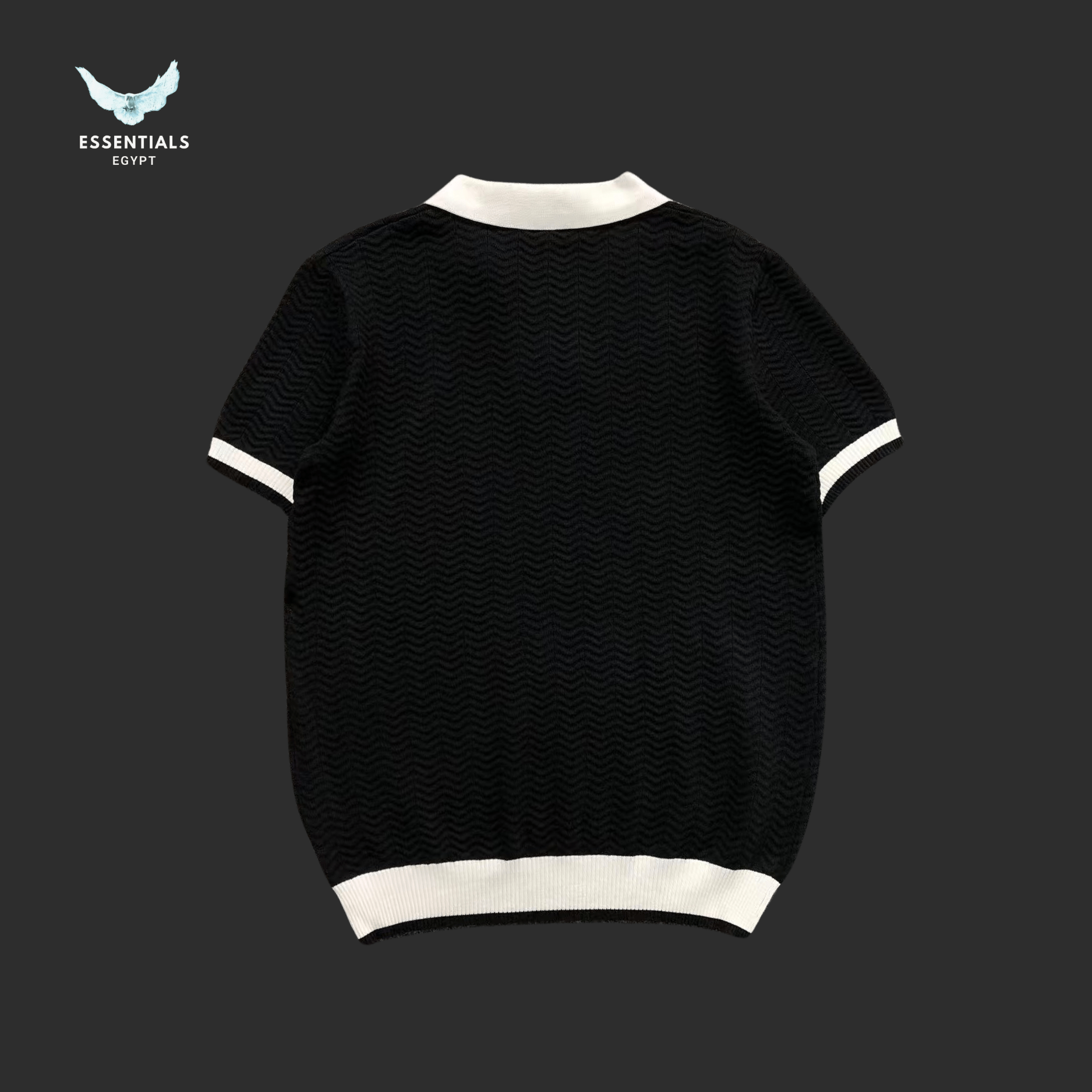 Ralph Lauren Polo T-Shirt – Colorblock Collar - ESSENTIALS EGYPT