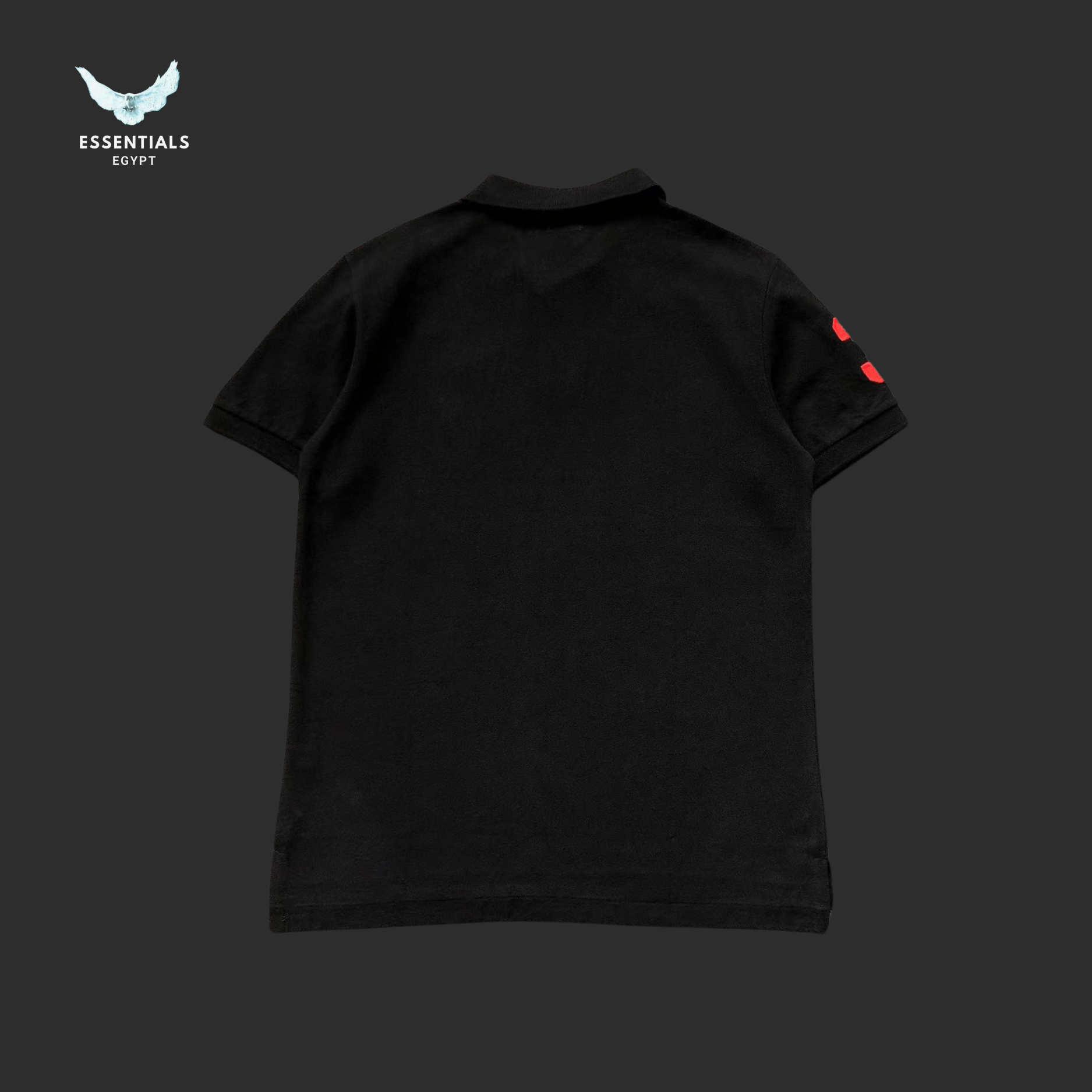 Ralph Lauren Custom Fit Polo Shirt - ESSENTIALS EGYPT