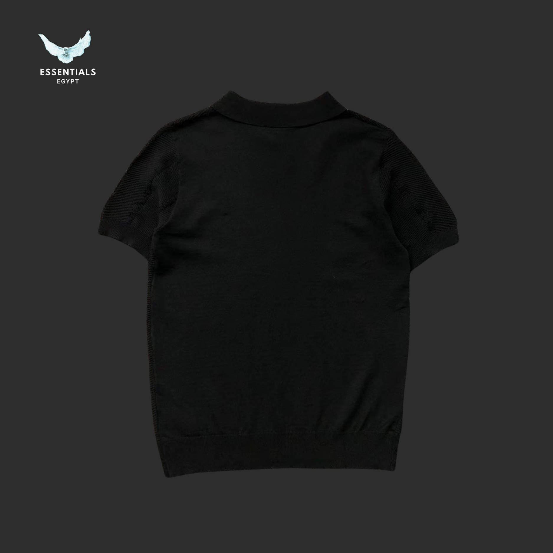 Ralph Lauren Polo T-Shirt – Minimal Logo - ESSENTIALS EGYPT