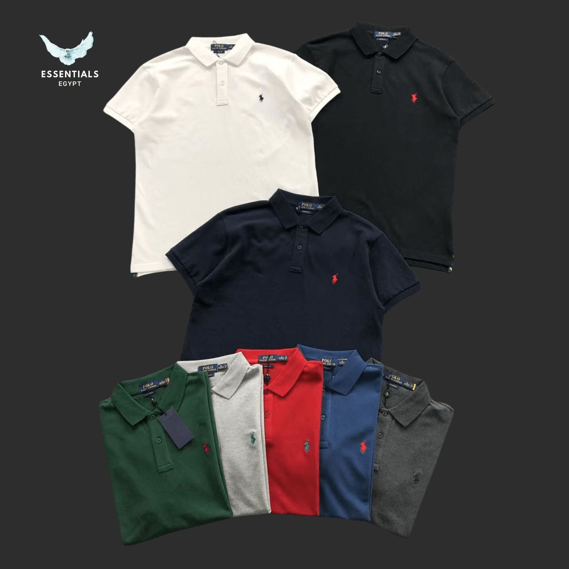 Ralph Lauren Polo – Multicolor Core - ESSENTIALS EGYPT