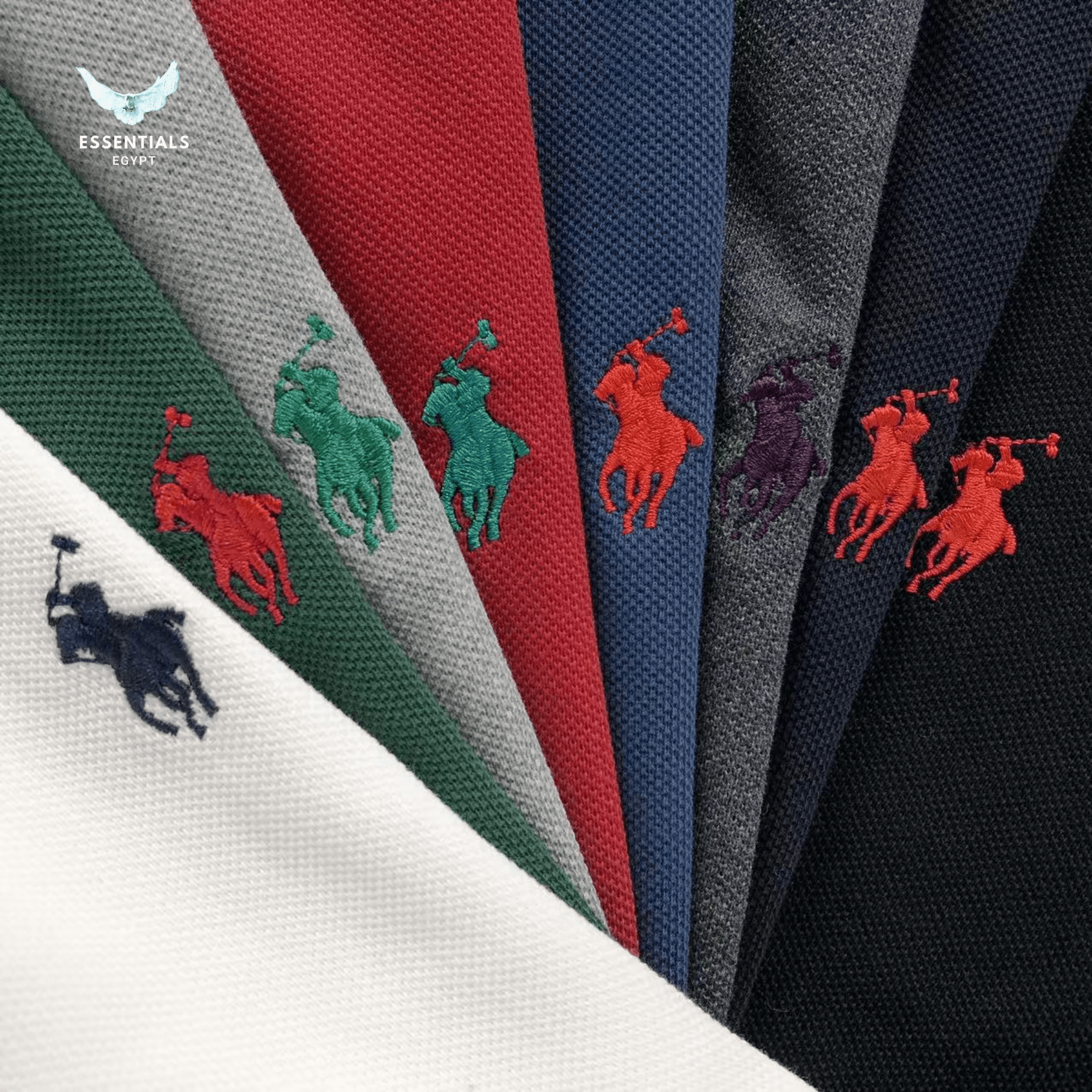 Ralph Lauren Polo – Multicolor Core - ESSENTIALS EGYPT